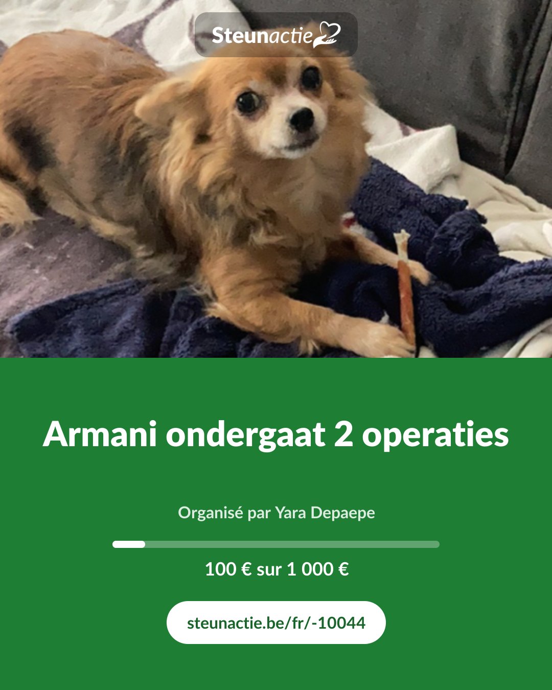 Aperçu de l'image