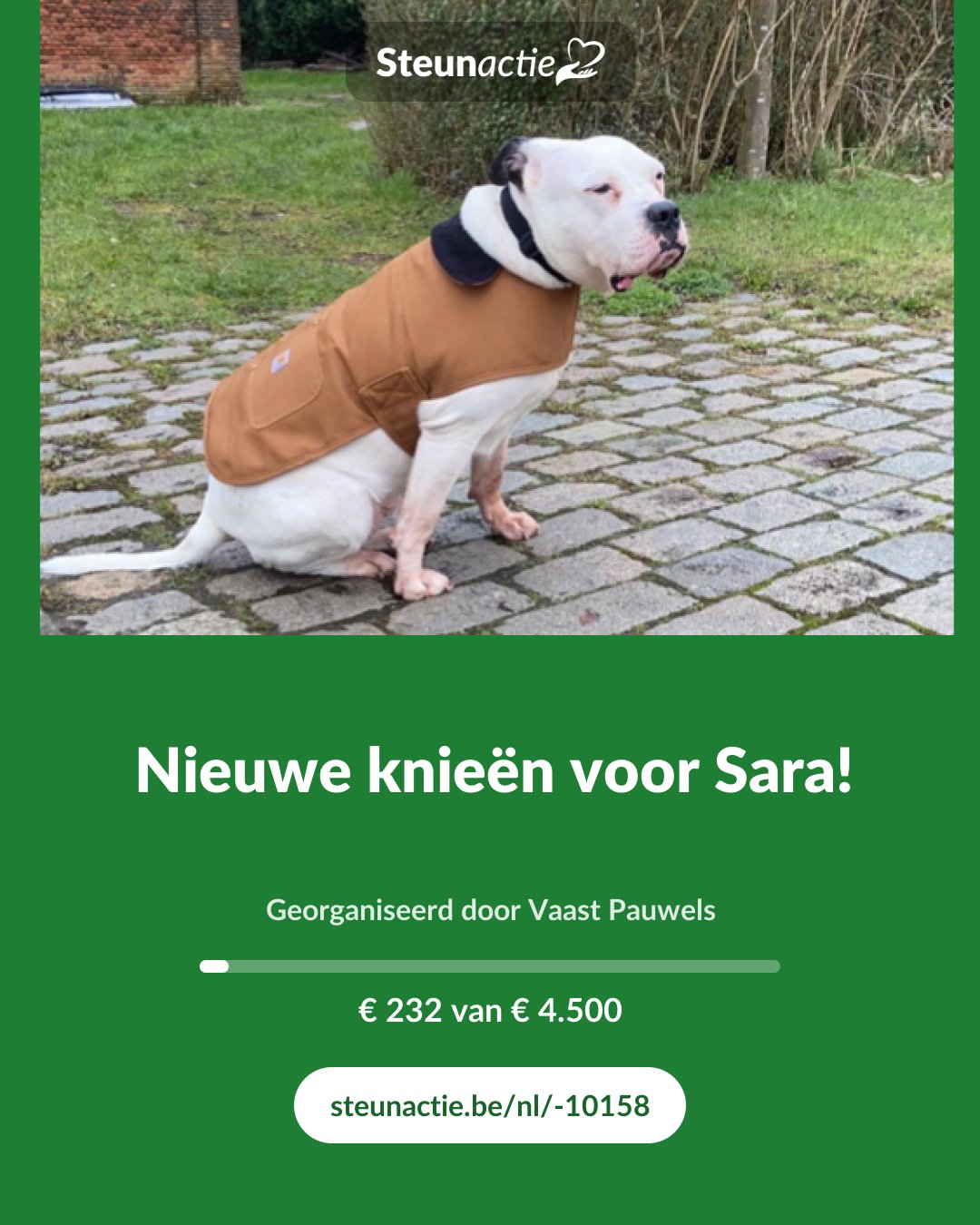 Voorbeeld van de afbeelding