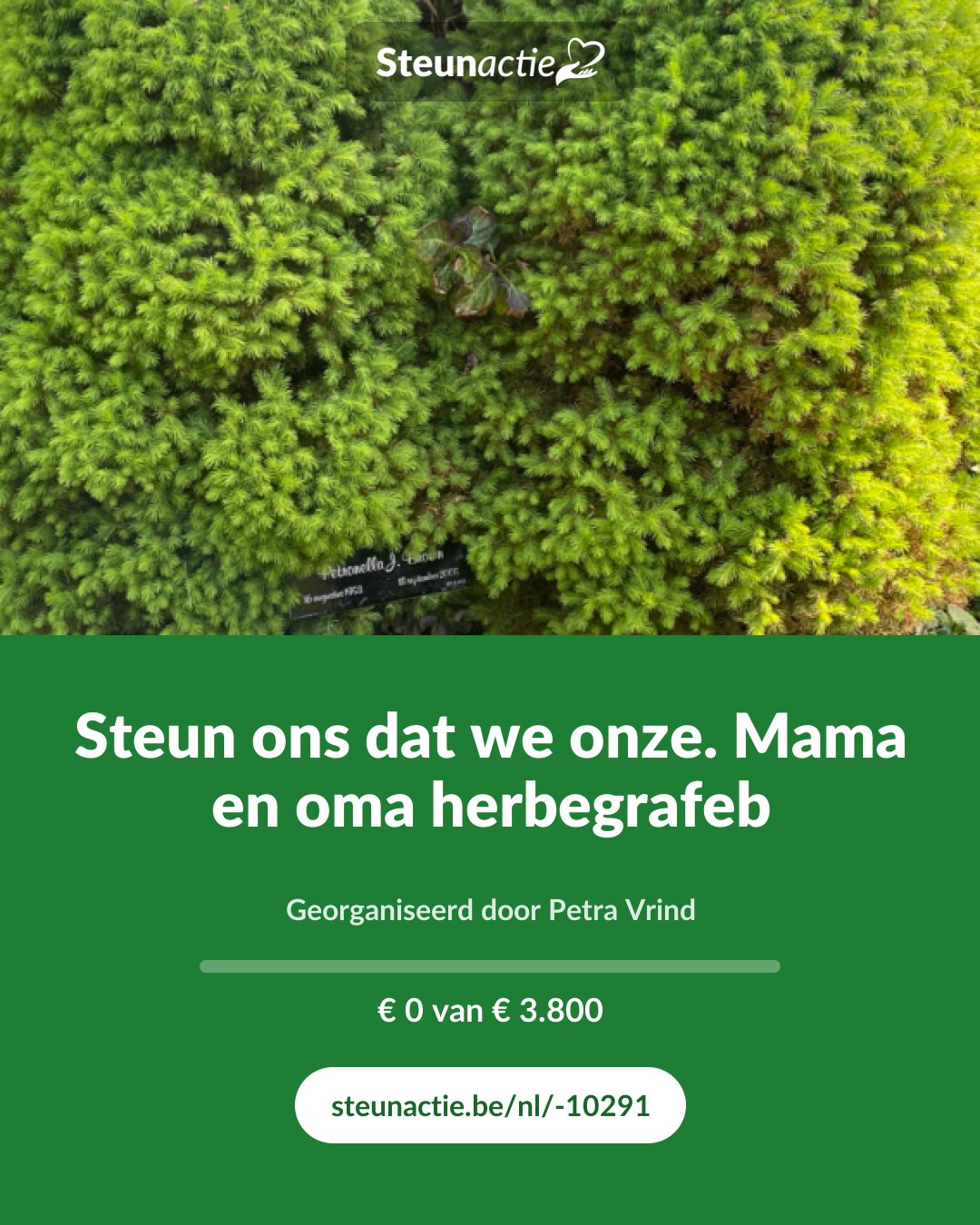 Voorbeeld van de afbeelding