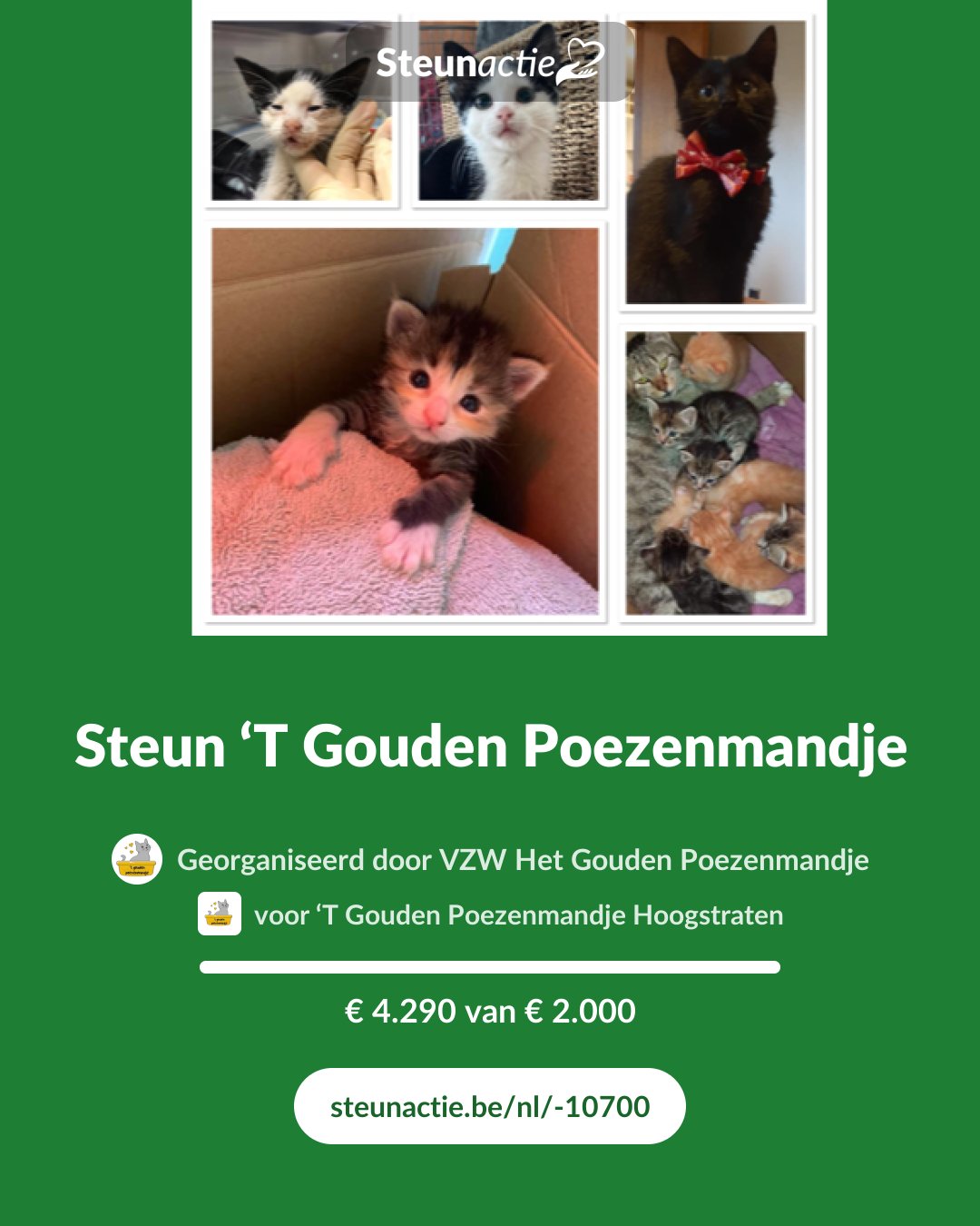 Voorbeeld van de afbeelding
