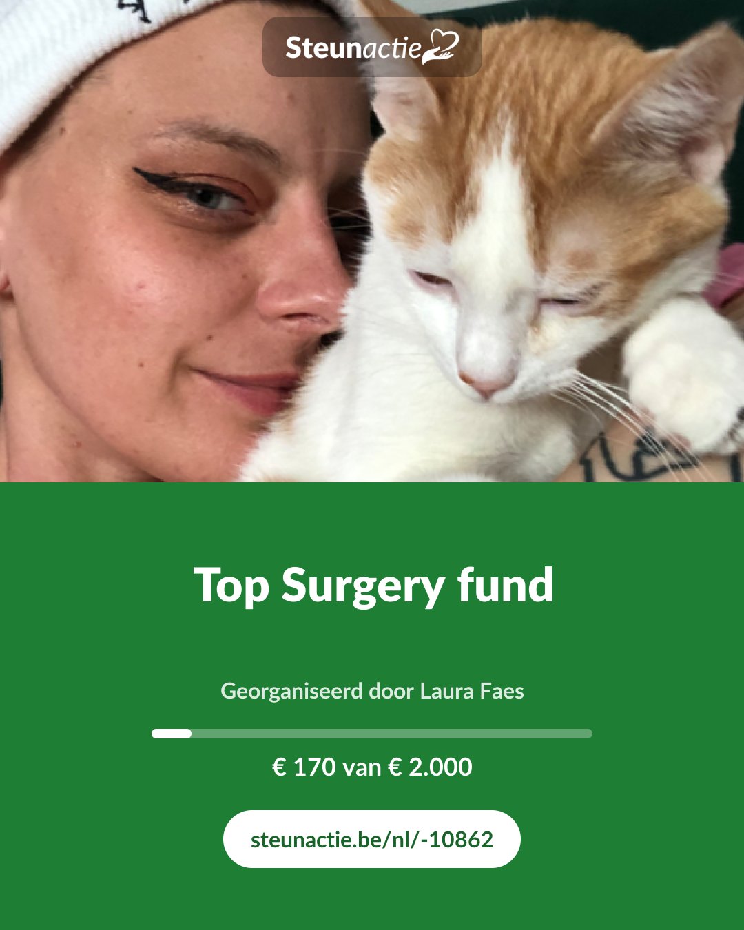 Voorbeeld van de afbeelding