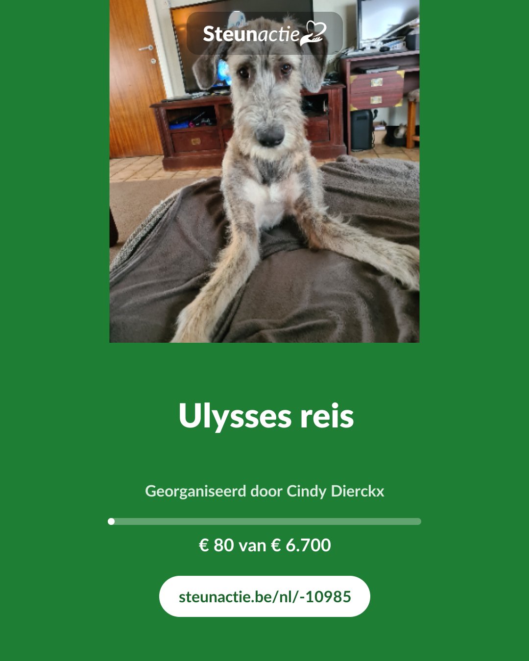 Voorbeeld van de afbeelding