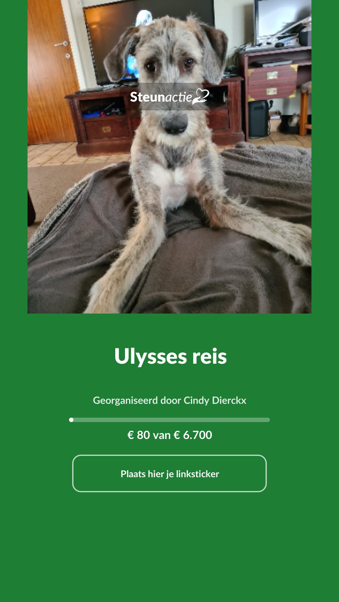 Voorbeeld van de afbeelding