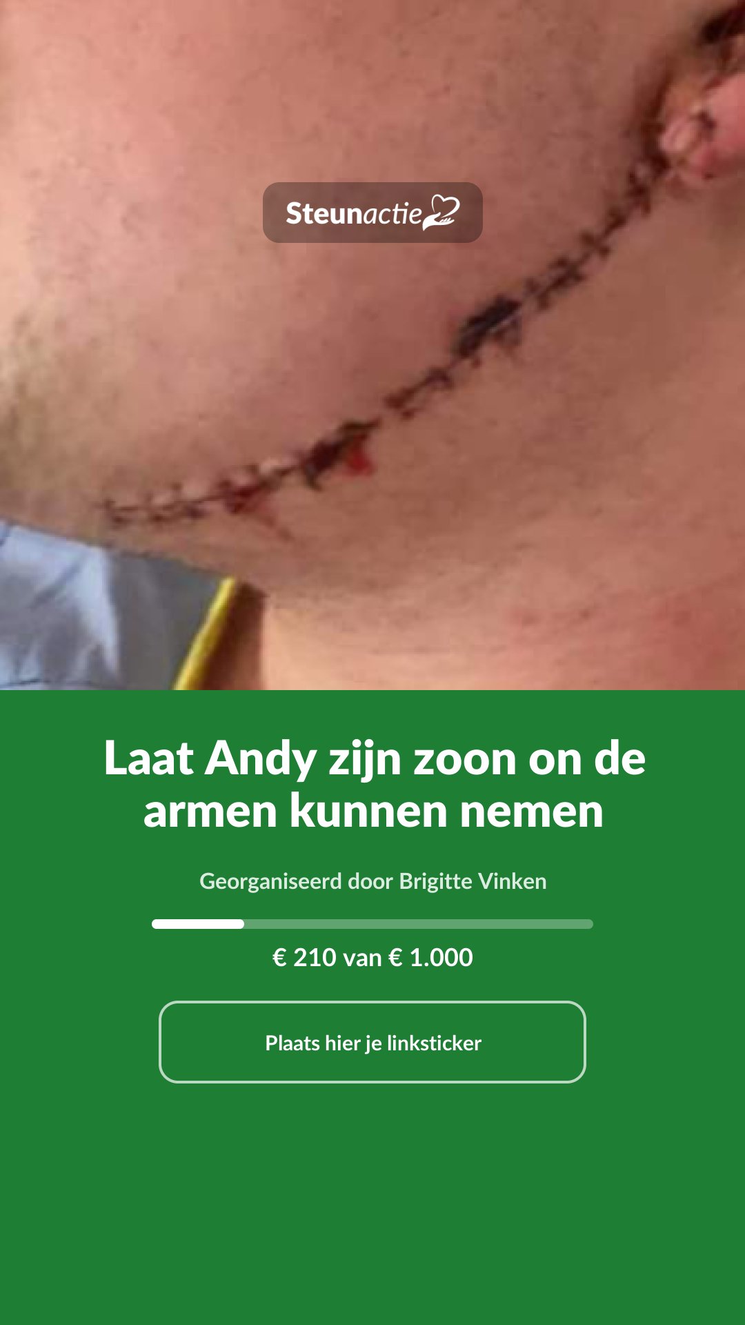 Voorbeeld van de afbeelding