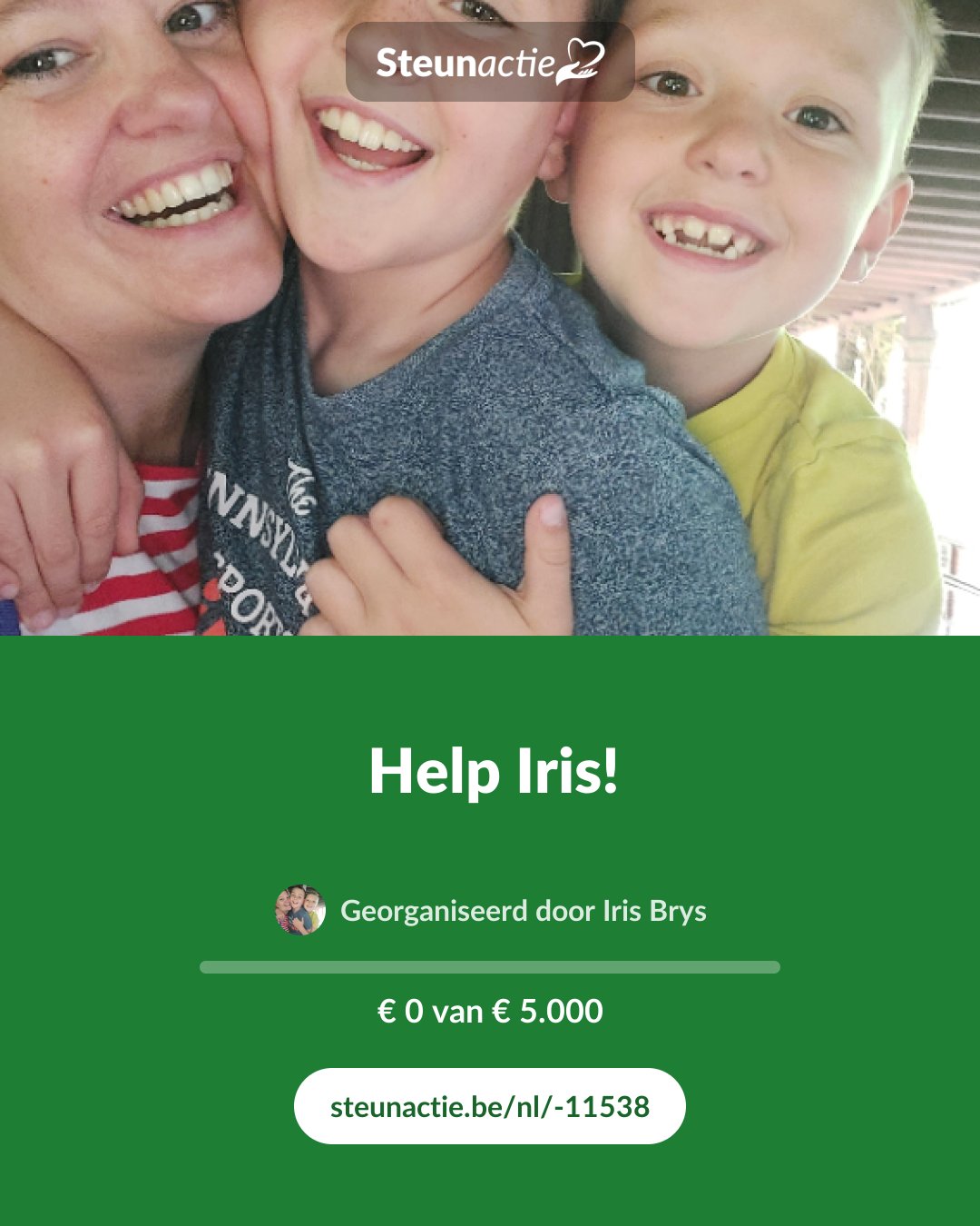 Voorbeeld van de afbeelding