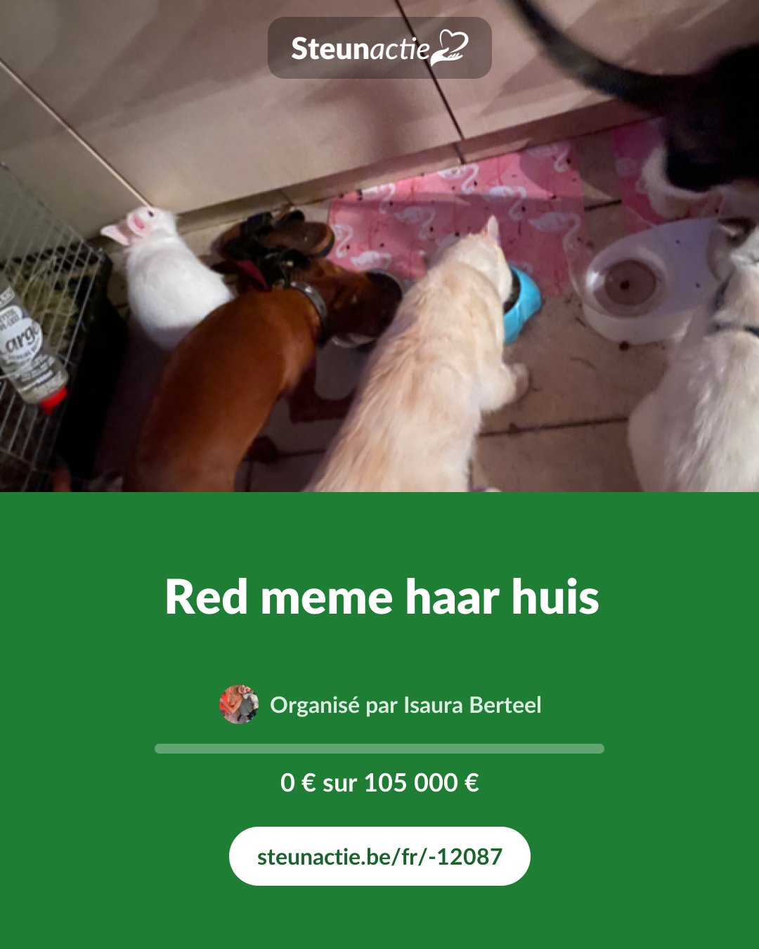 Aperçu de l'image