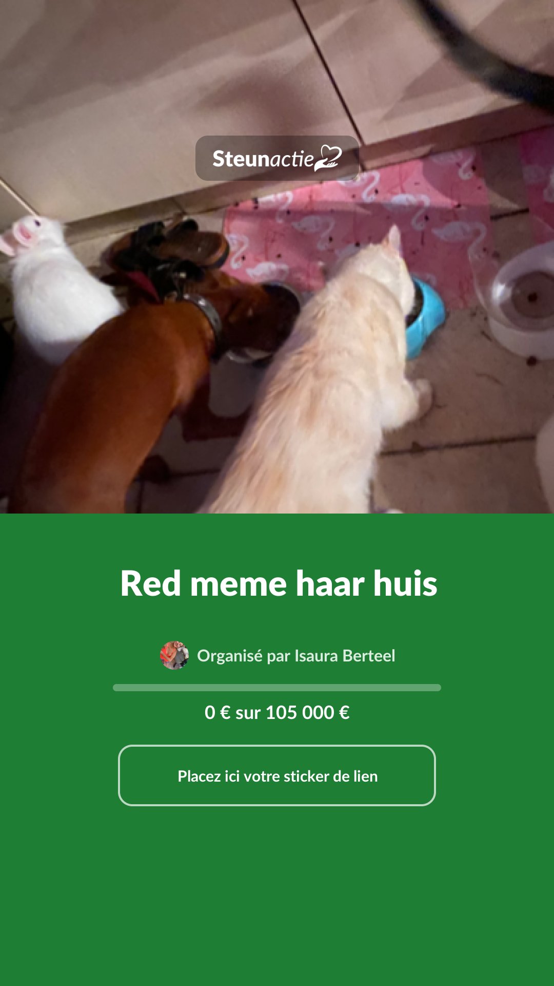 Aperçu de l'image