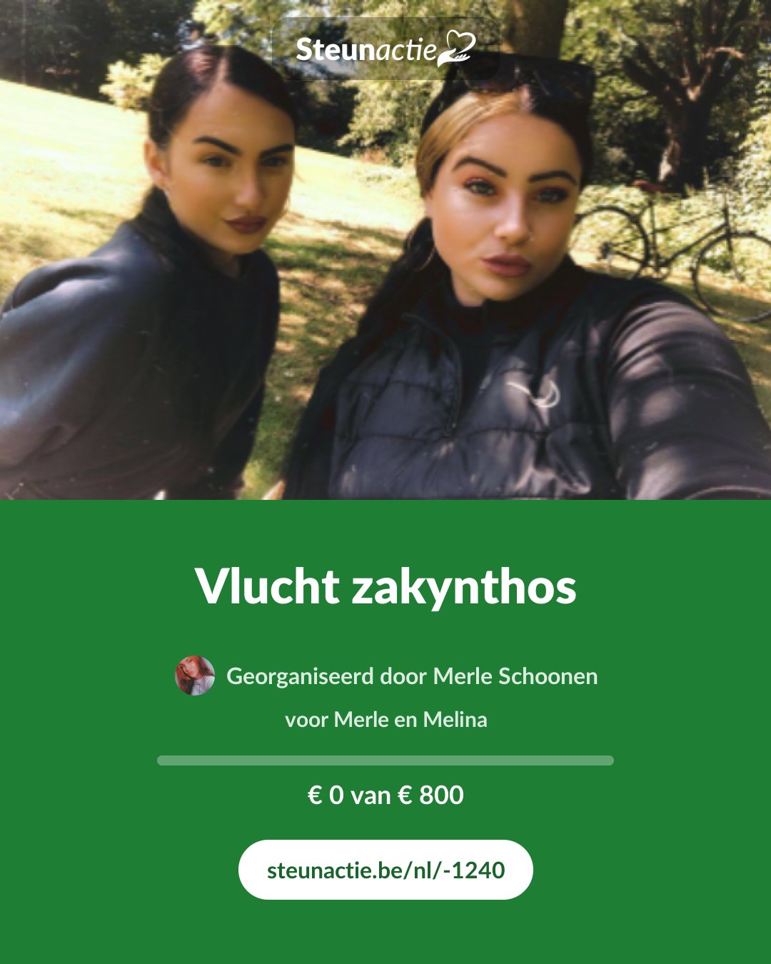 Voorbeeld van de afbeelding