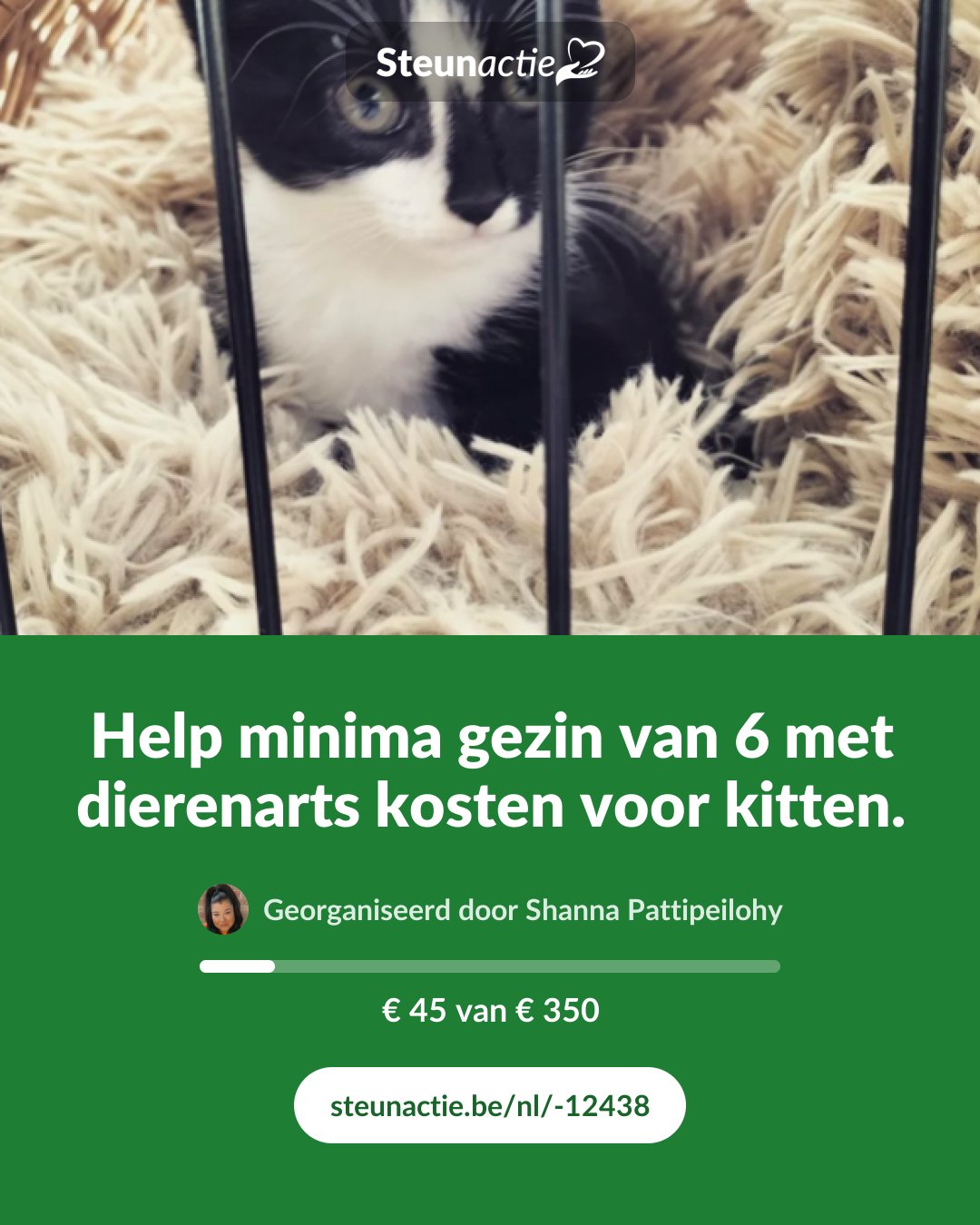 Voorbeeld van de afbeelding
