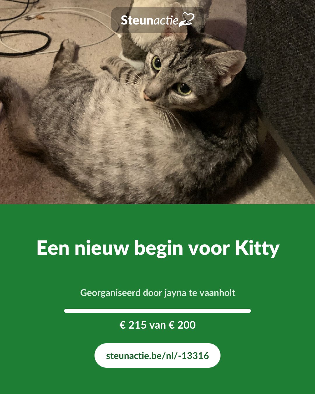 Voorbeeld van de afbeelding
