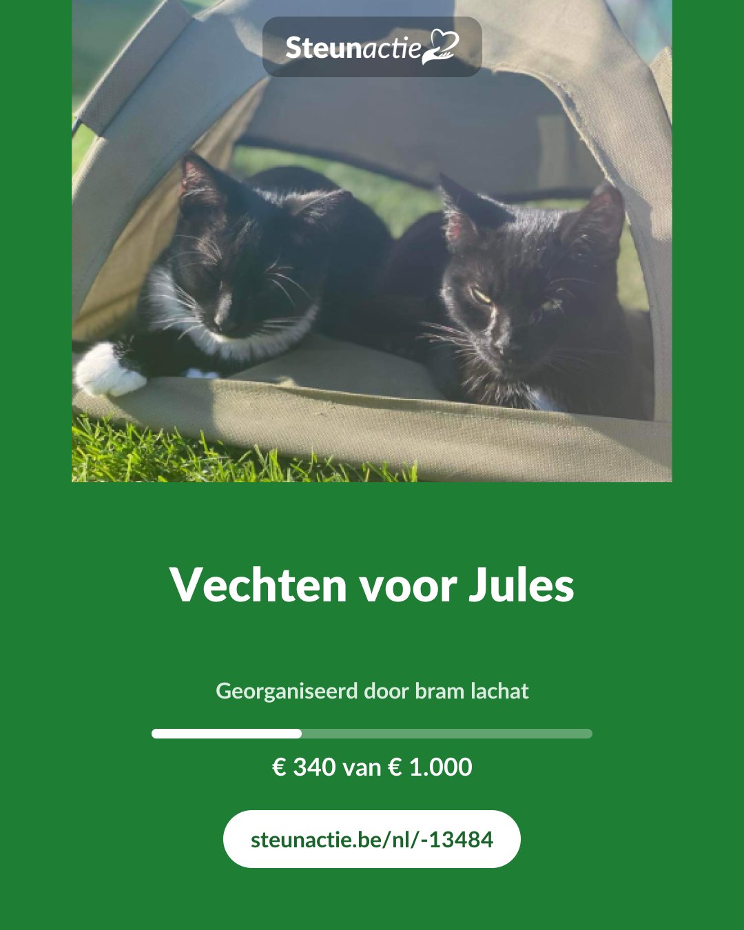 Voorbeeld van de afbeelding