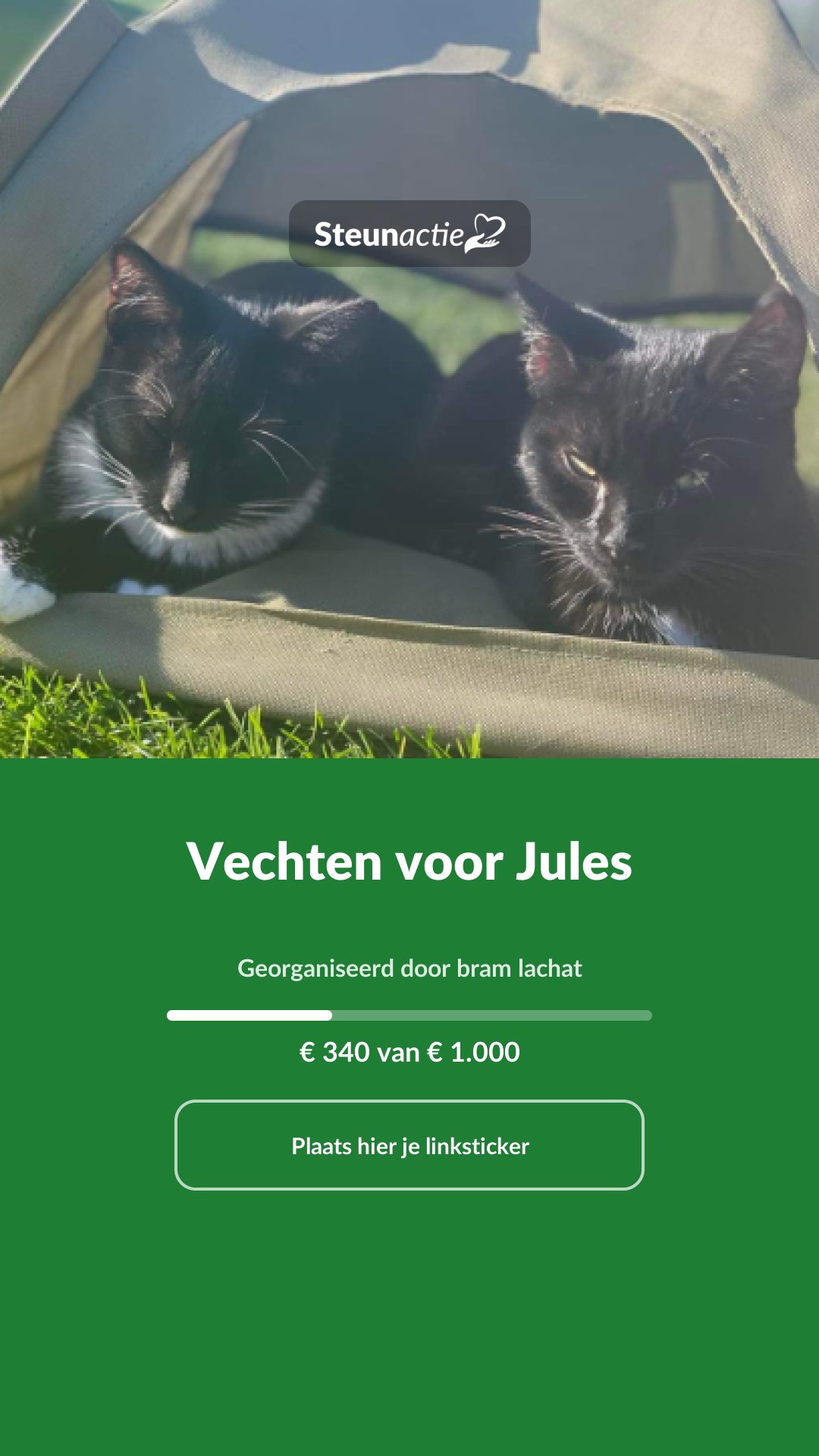 Voorbeeld van de afbeelding