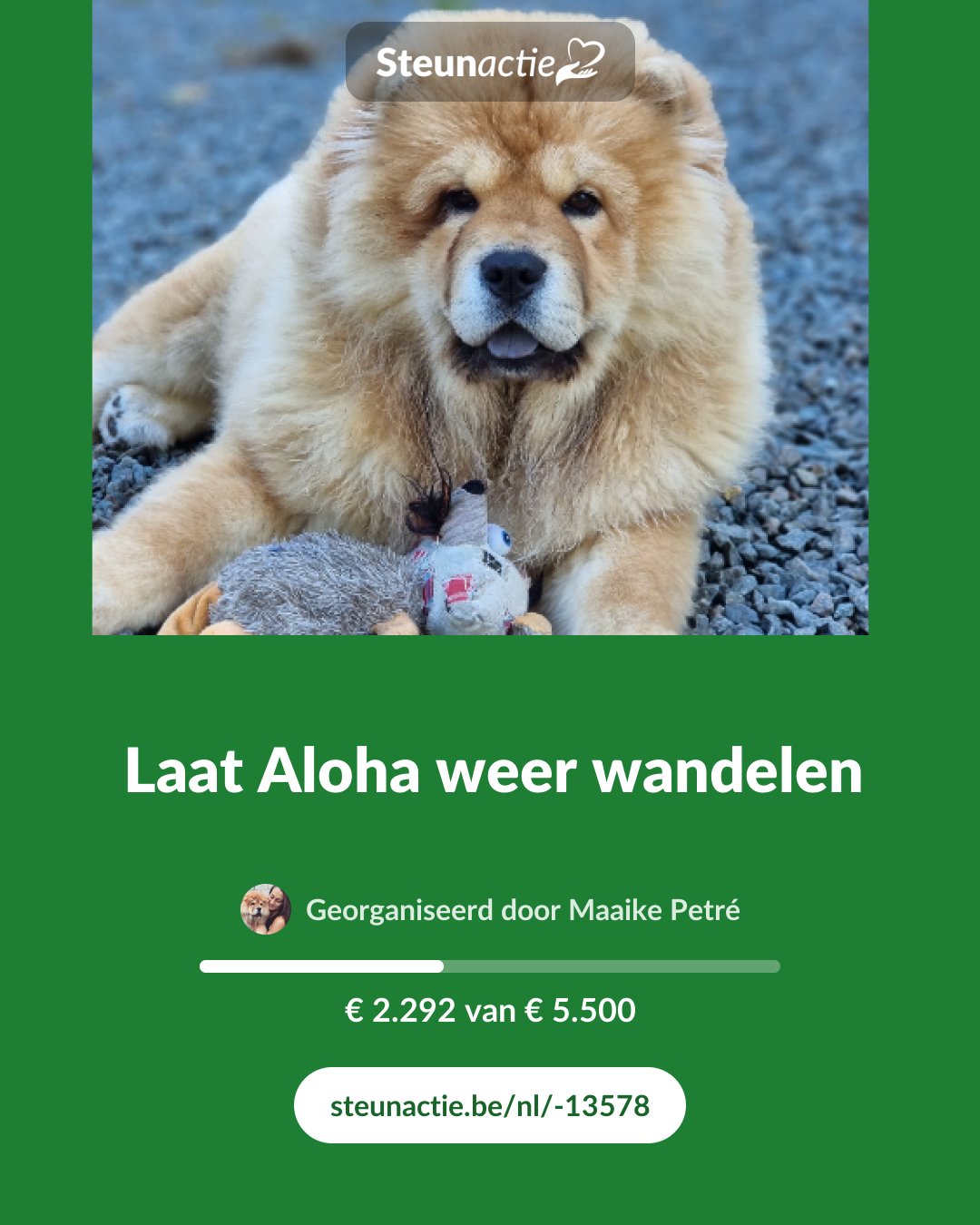 Voorbeeld van de afbeelding