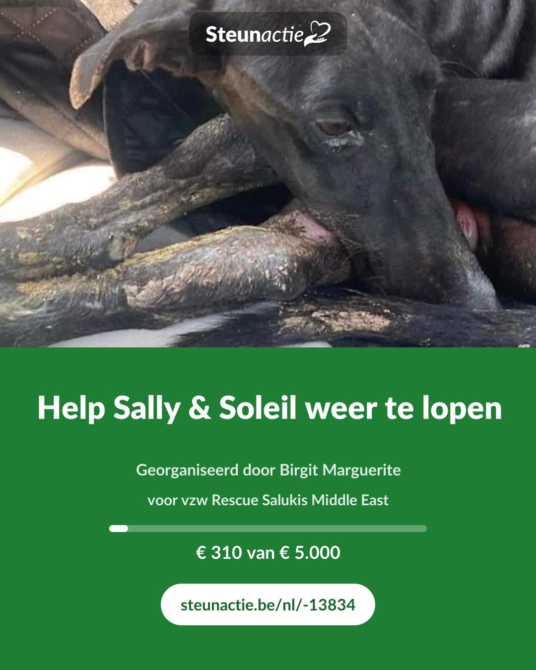 Voorbeeld van de afbeelding