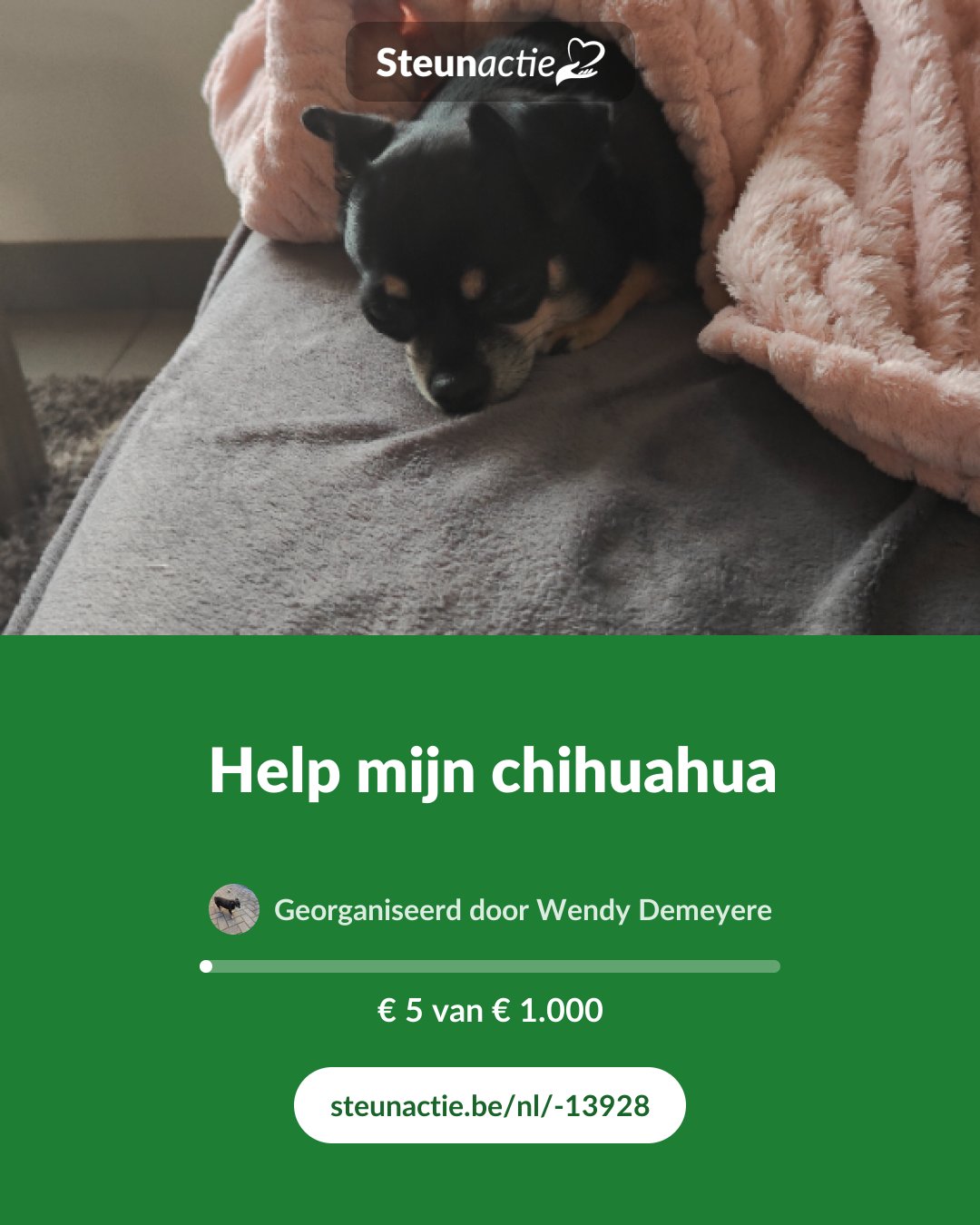 Voorbeeld van de afbeelding