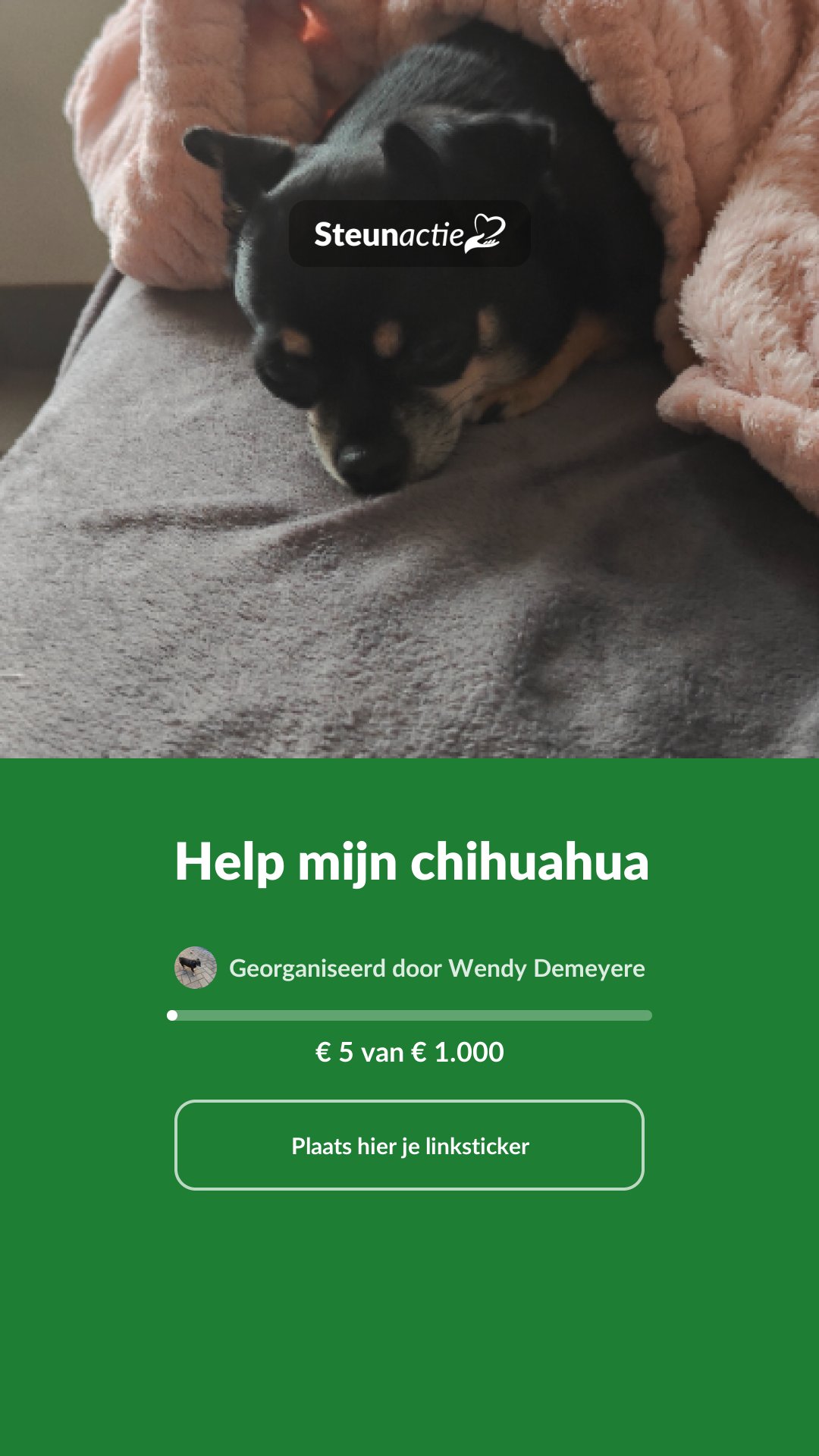 Voorbeeld van de afbeelding