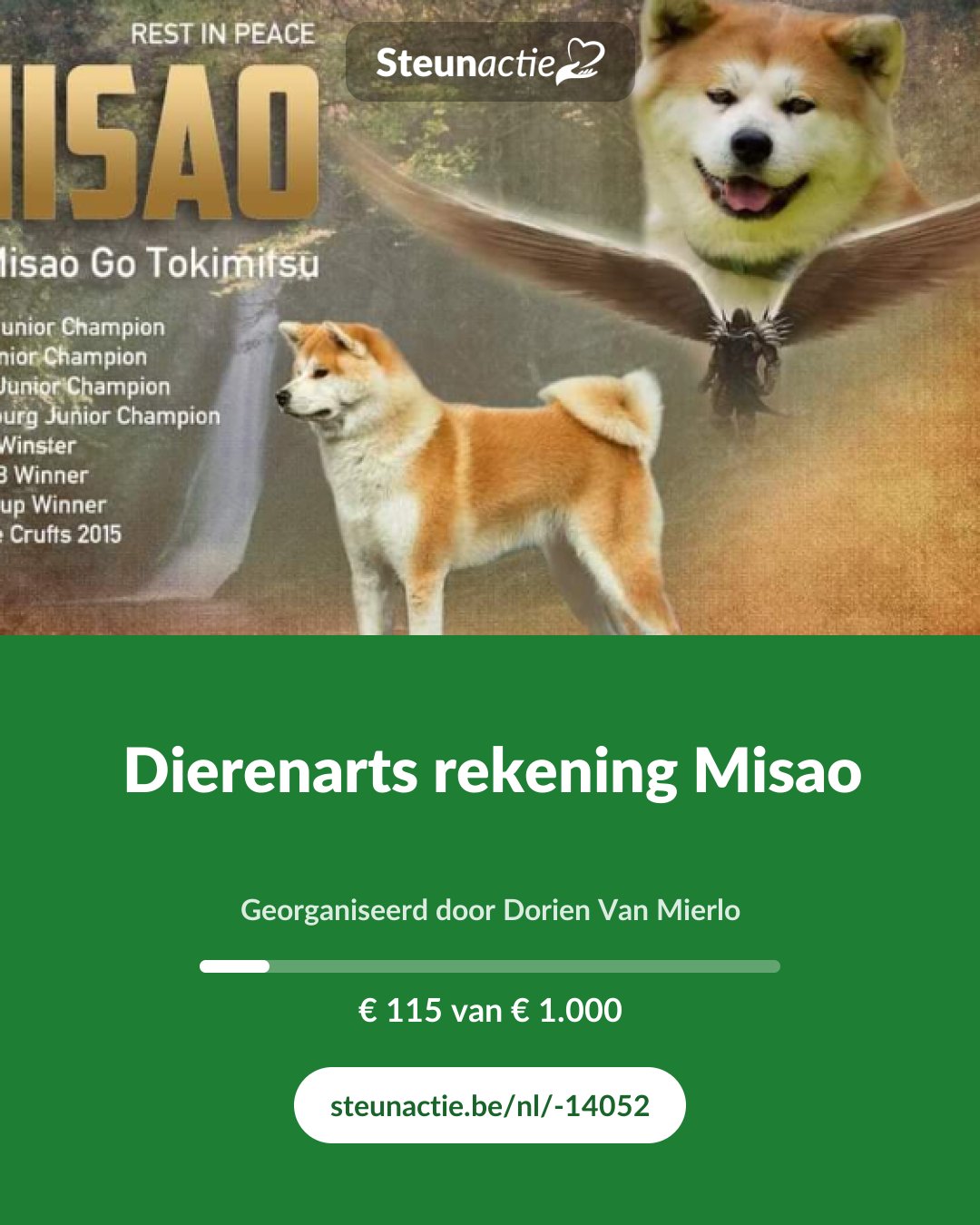 Voorbeeld van de afbeelding