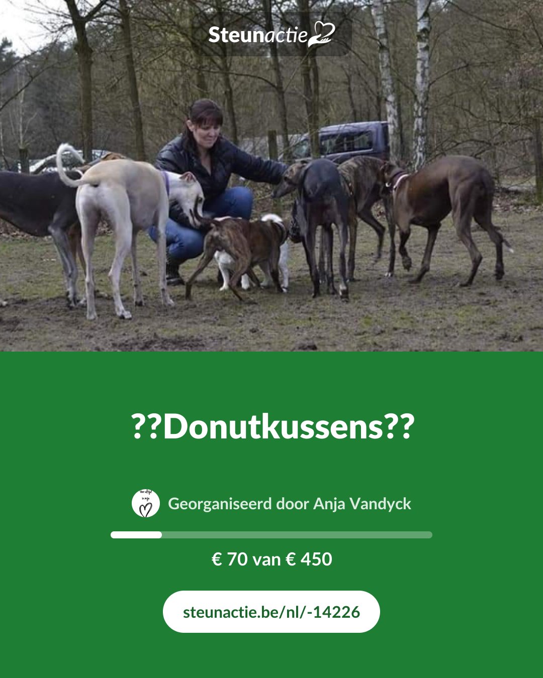 Voorbeeld van de afbeelding
