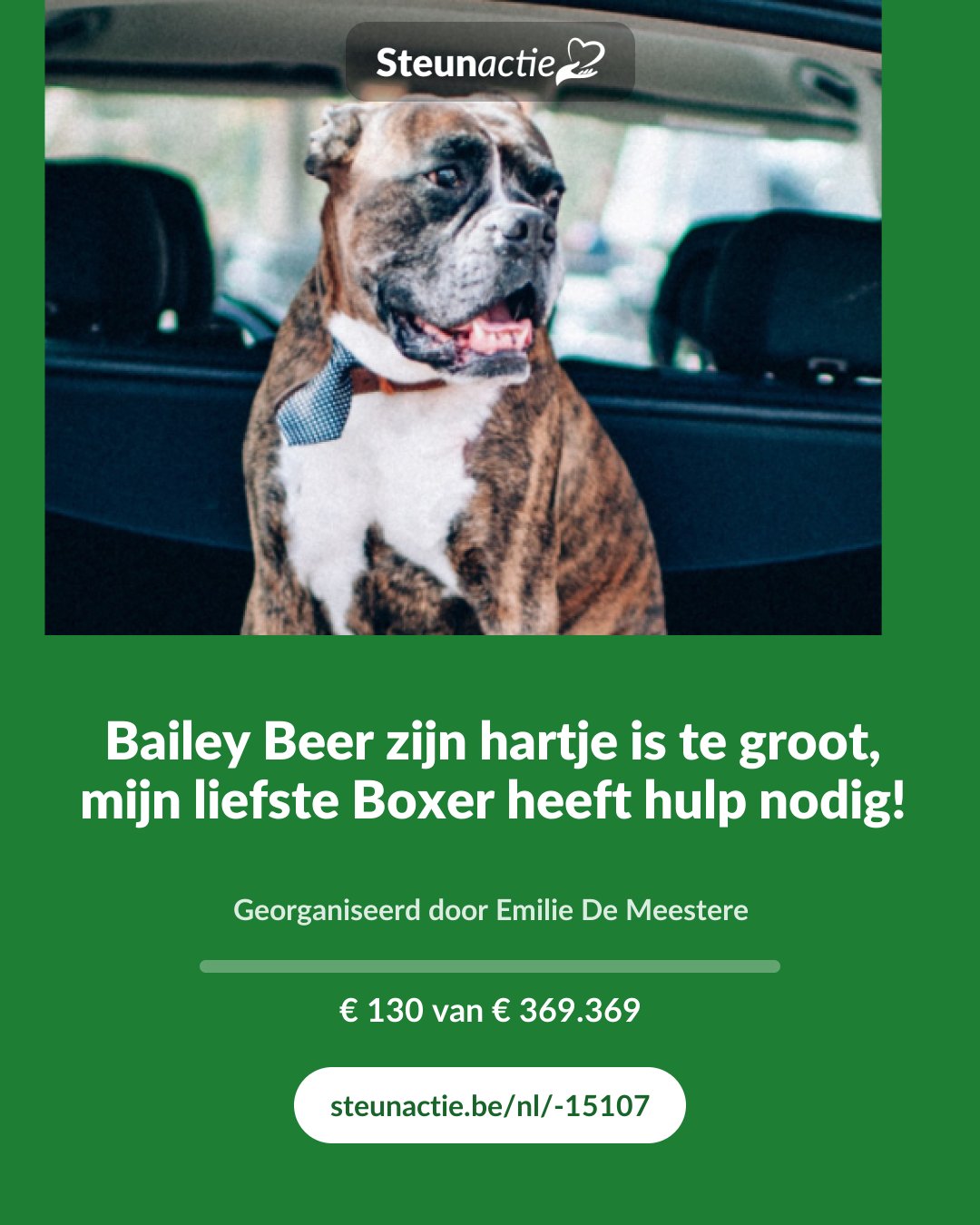 Voorbeeld van de afbeelding