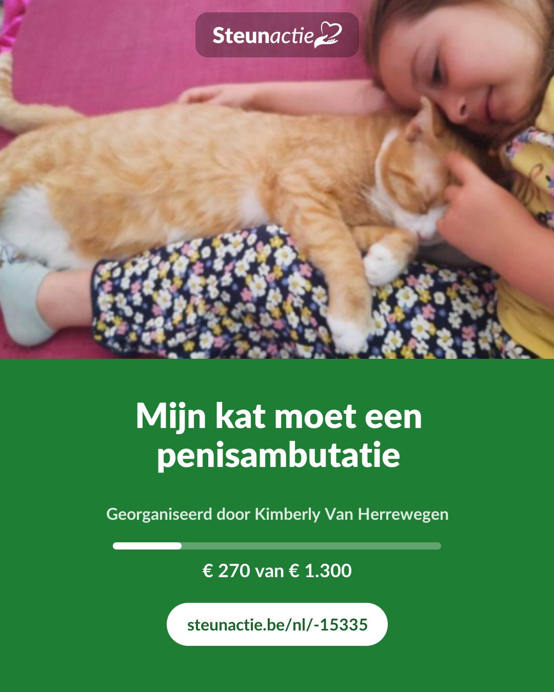 Voorbeeld van de afbeelding