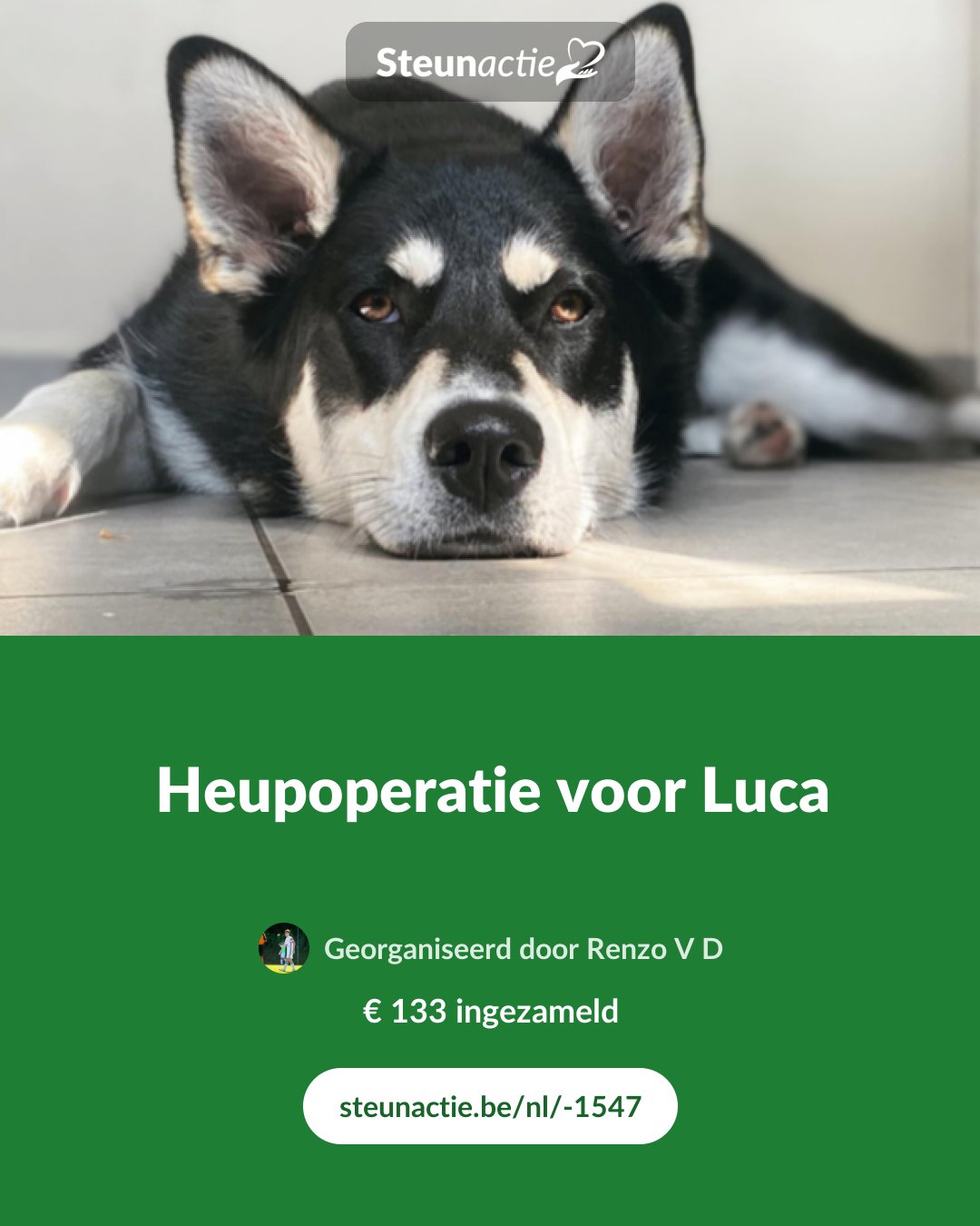 Voorbeeld van de afbeelding