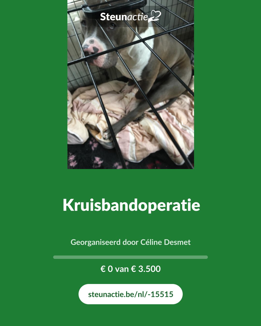 Voorbeeld van de afbeelding