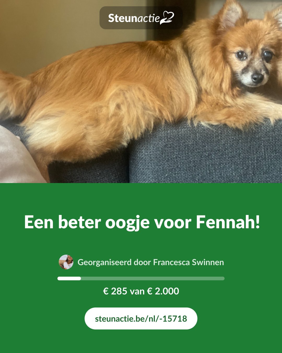 Voorbeeld van de afbeelding