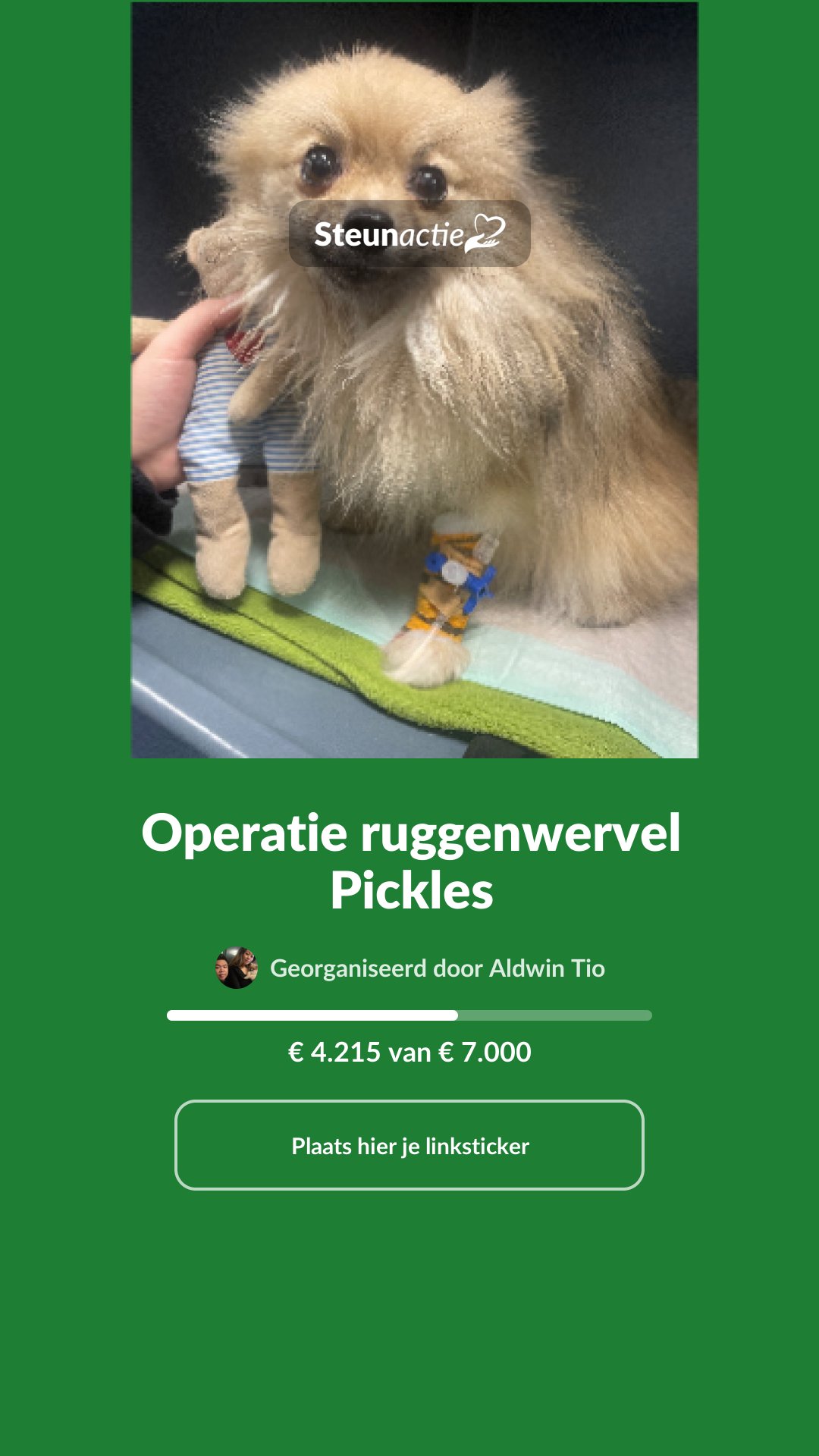 Voorbeeld van de afbeelding