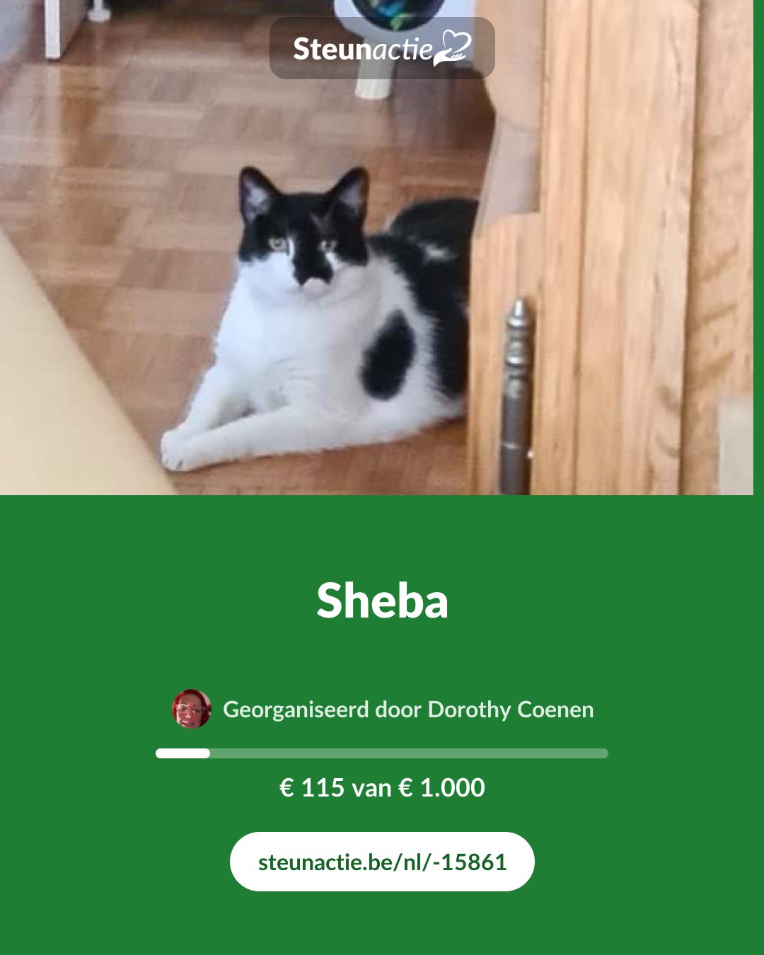 Voorbeeld van de afbeelding