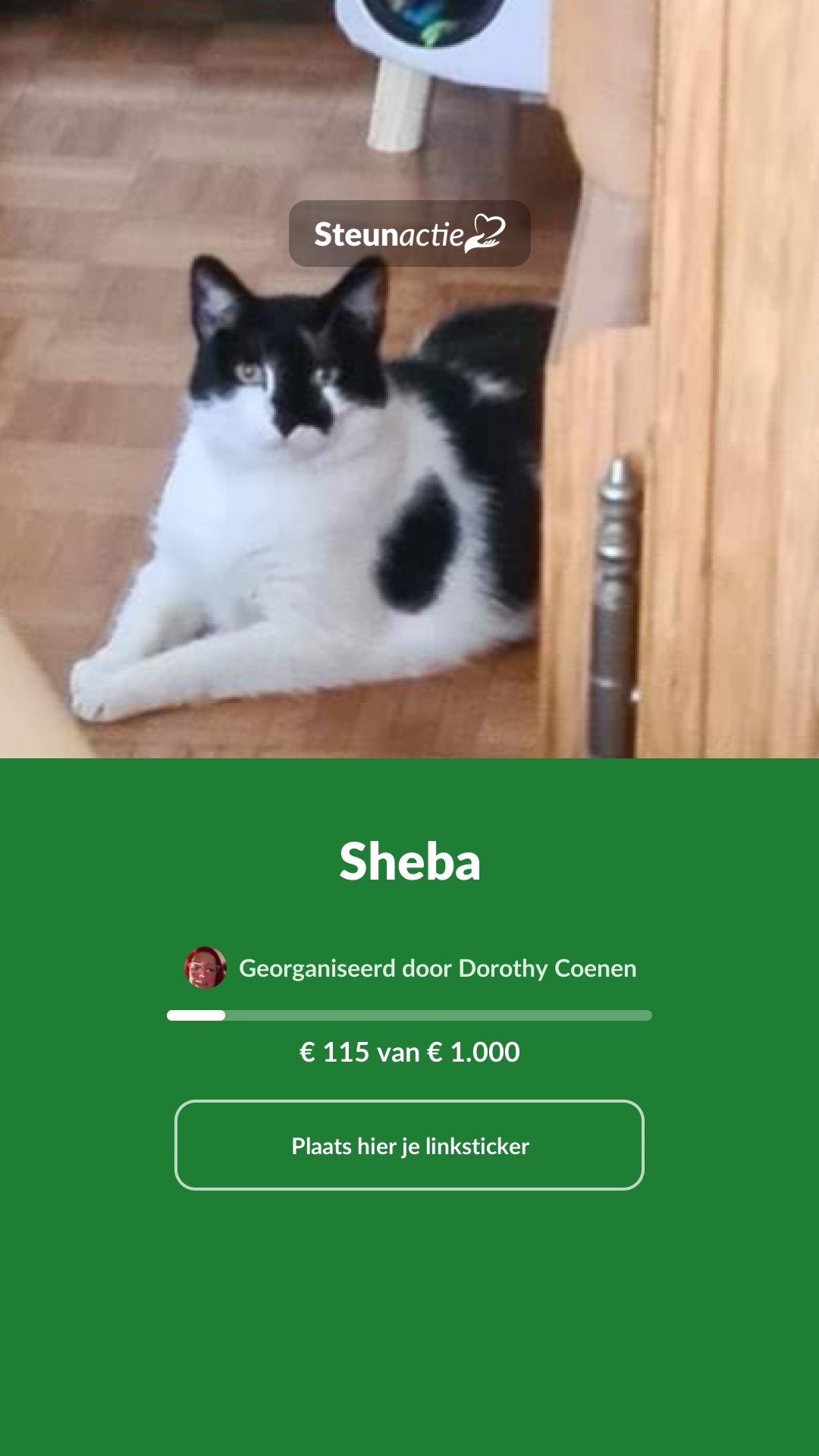 Voorbeeld van de afbeelding