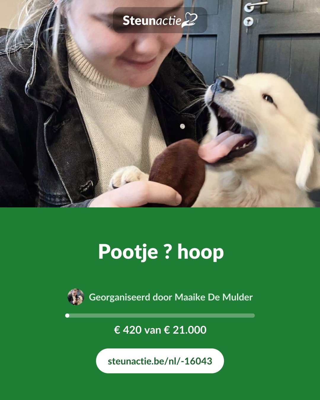 Voorbeeld van de afbeelding