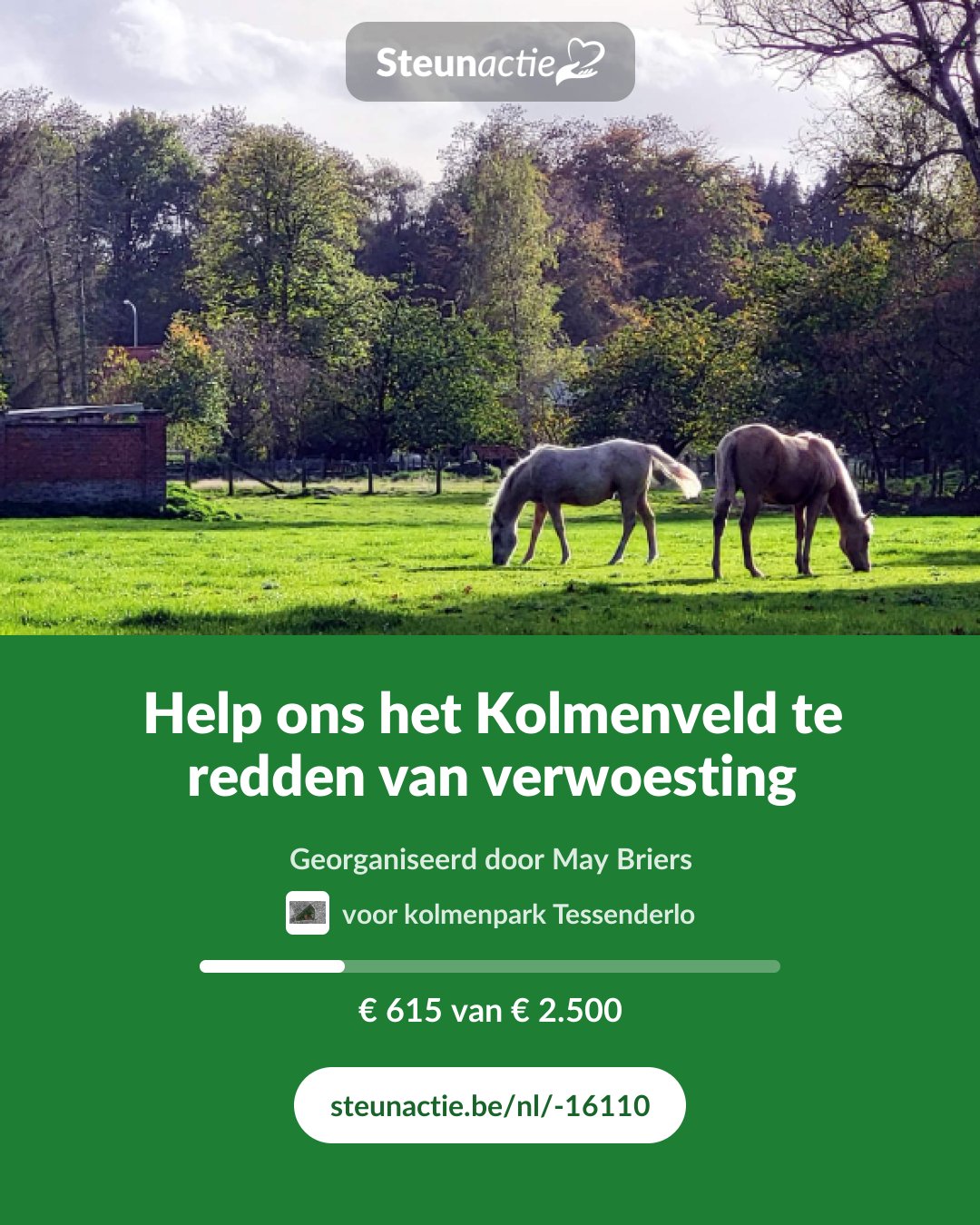 Voorbeeld van de afbeelding
