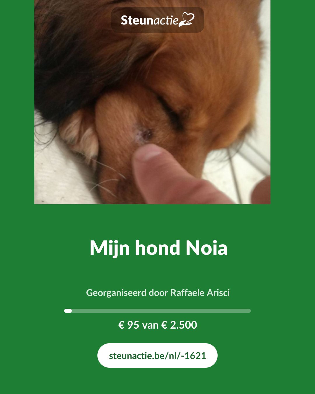 Voorbeeld van de afbeelding
