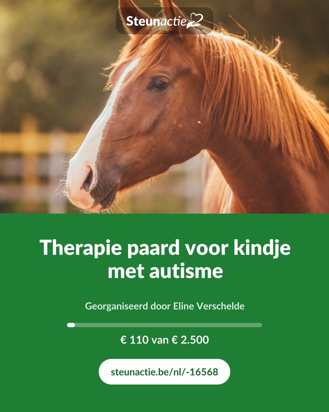 Voorbeeld van de afbeelding