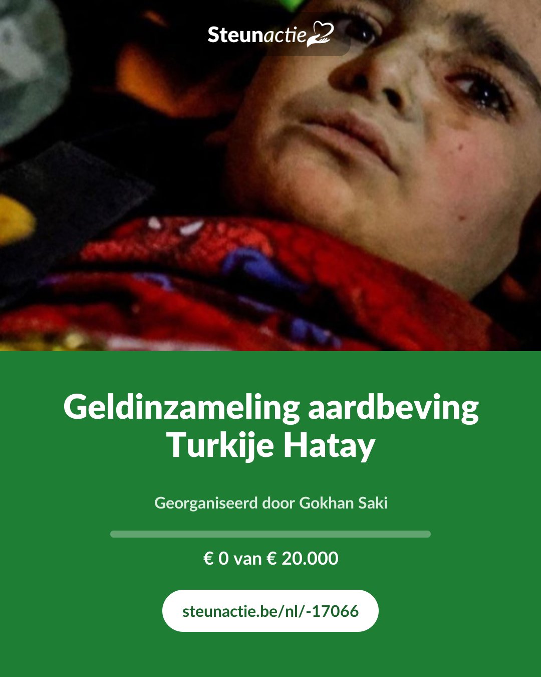 Voorbeeld van de afbeelding