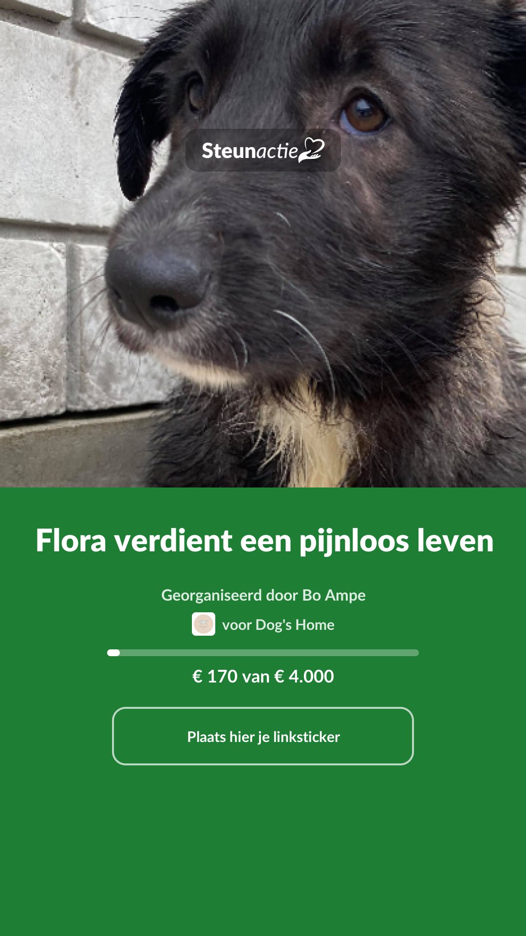 Voorbeeld van de afbeelding