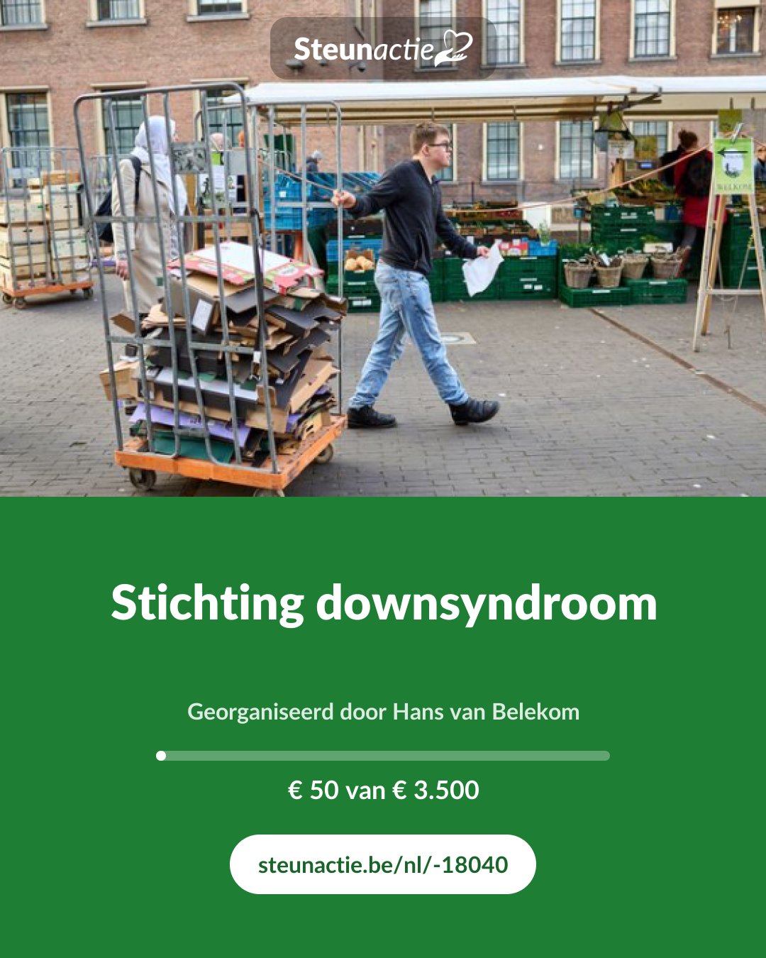 Voorbeeld van de afbeelding