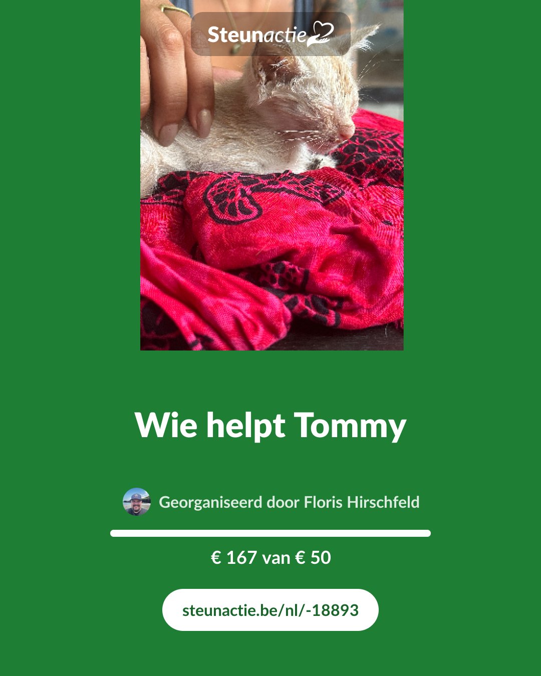 Voorbeeld van de afbeelding