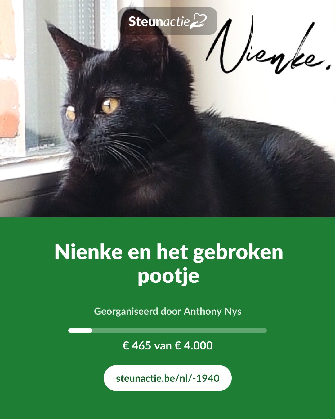 Voorbeeld van de afbeelding