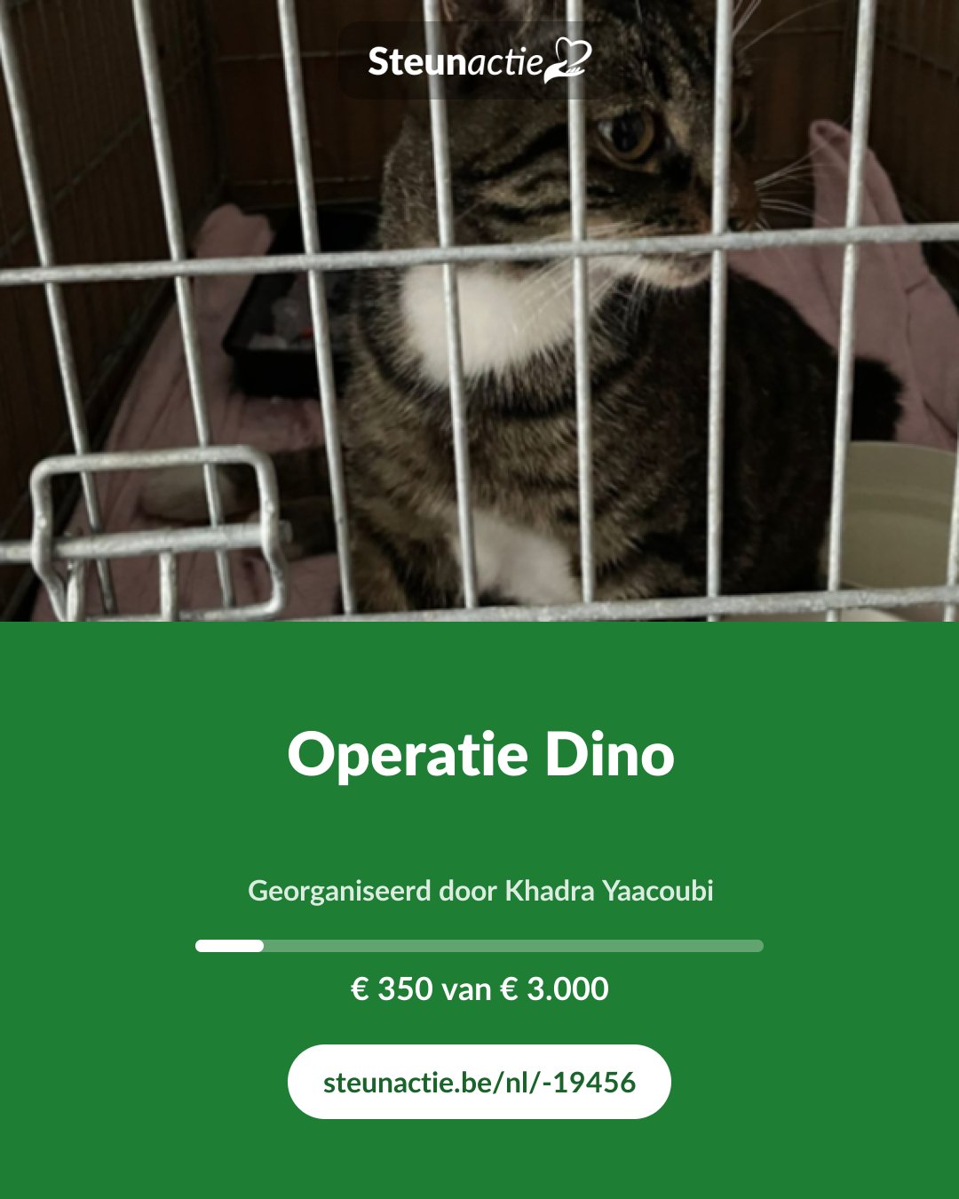 Voorbeeld van de afbeelding