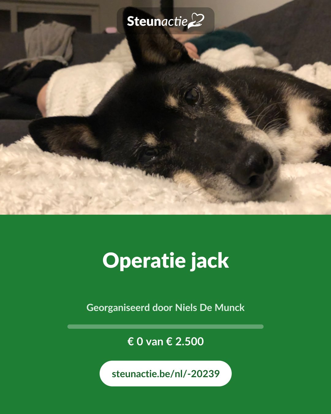 Voorbeeld van de afbeelding