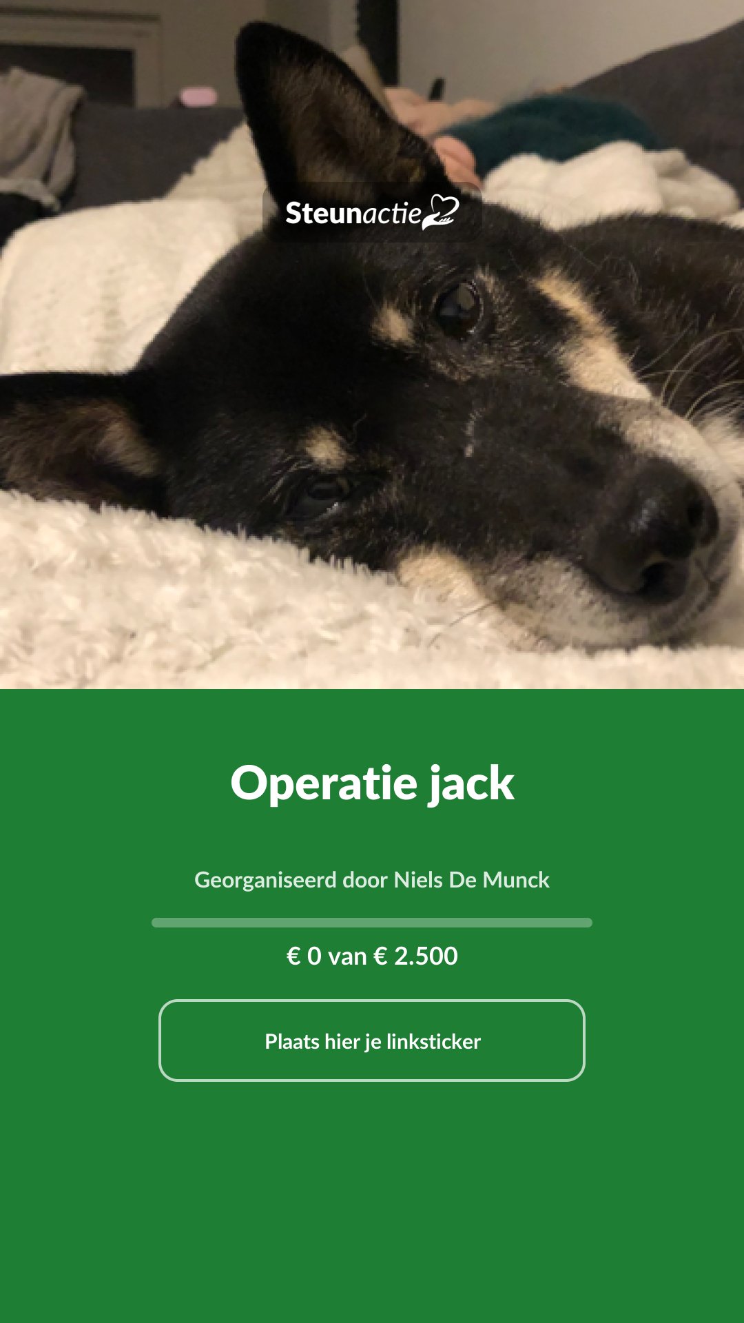 Voorbeeld van de afbeelding