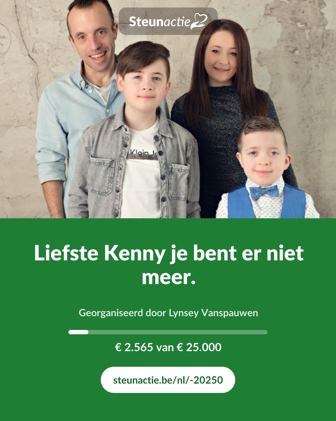 Voorbeeld van de afbeelding