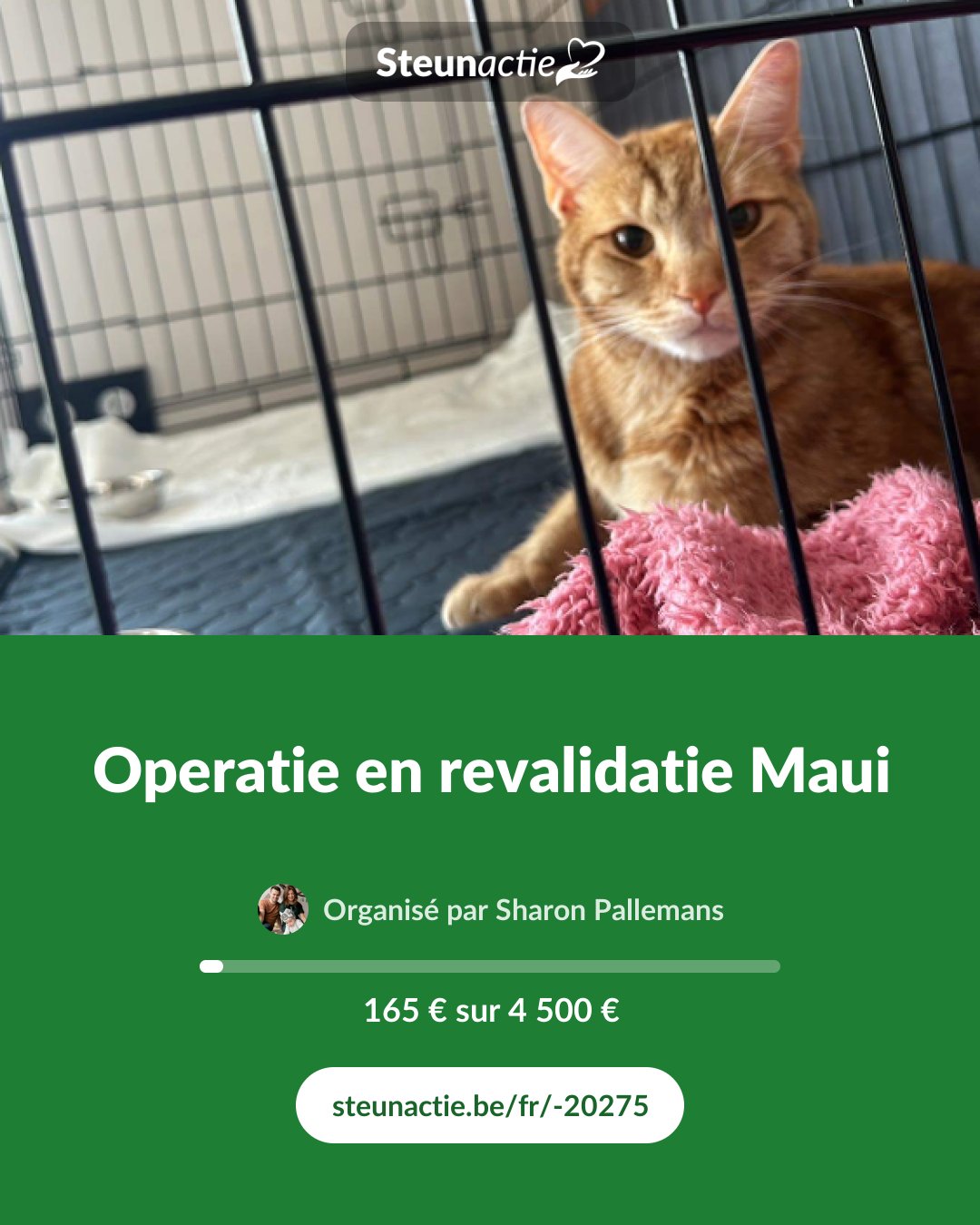 Aperçu de l'image