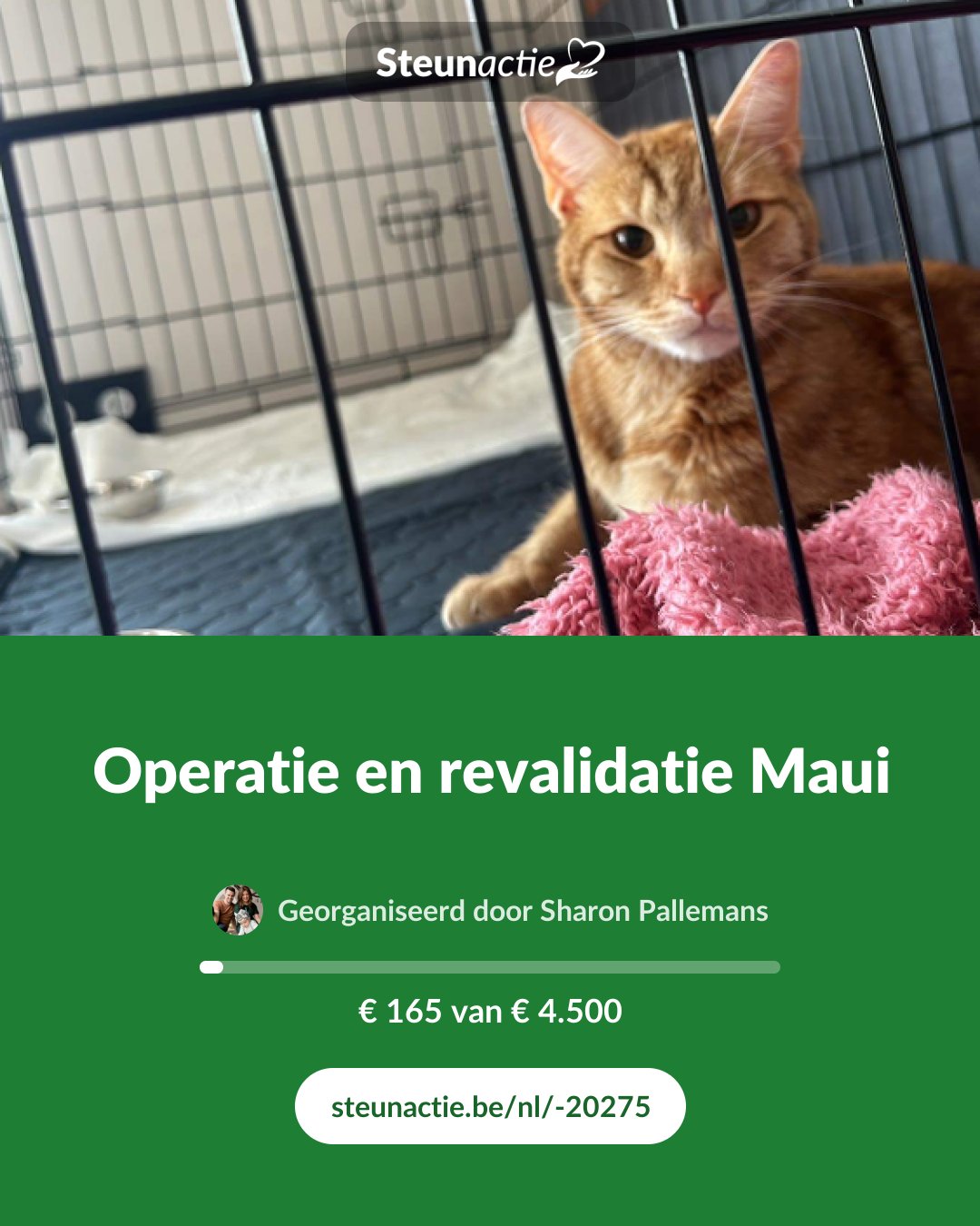 Voorbeeld van de afbeelding
