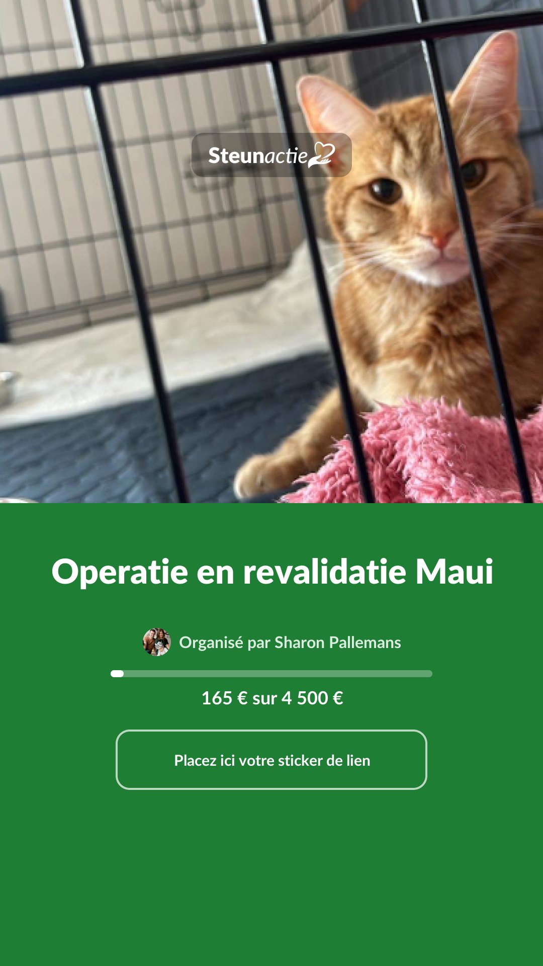 Aperçu de l'image