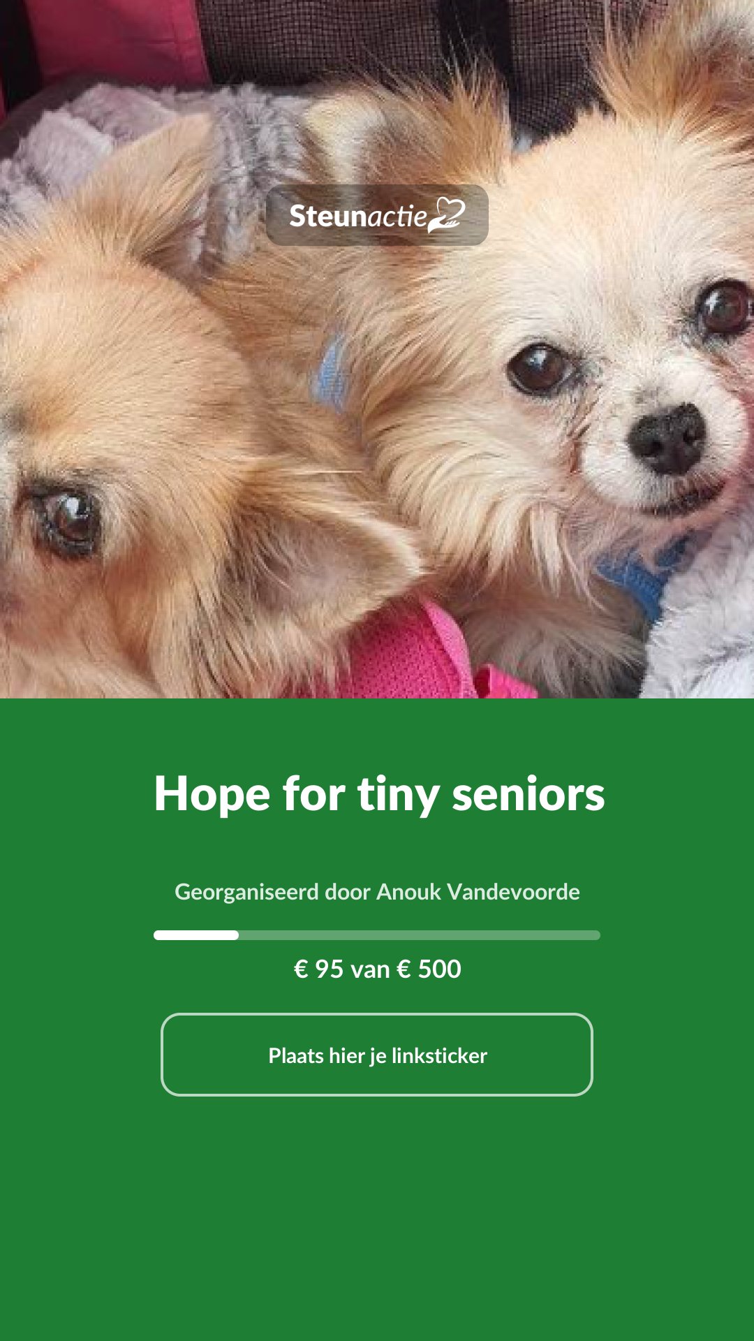 Voorbeeld van de afbeelding