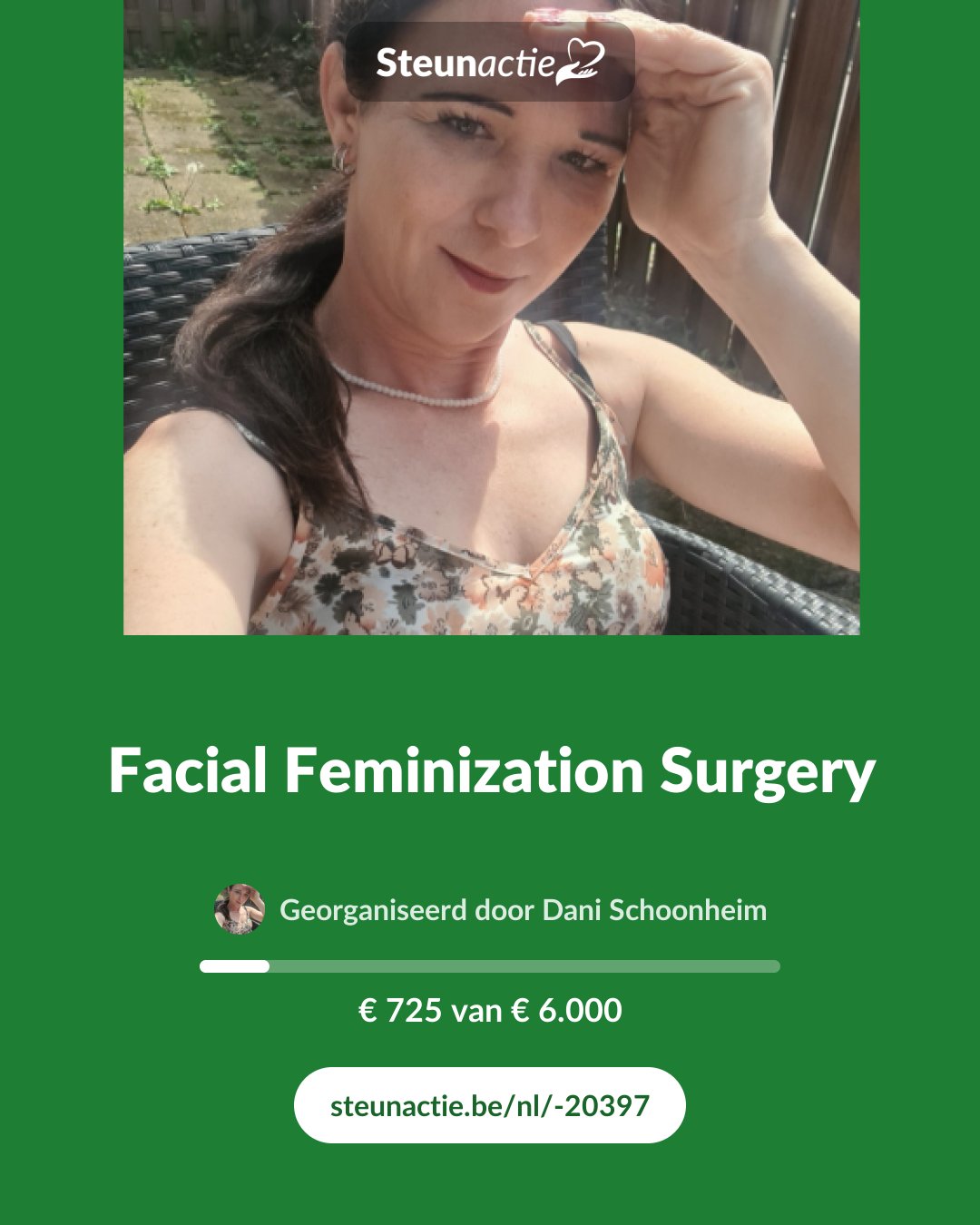 Voorbeeld van de afbeelding