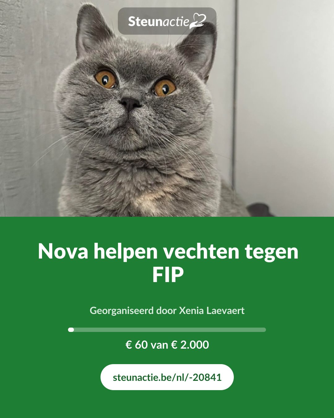 Voorbeeld van de afbeelding