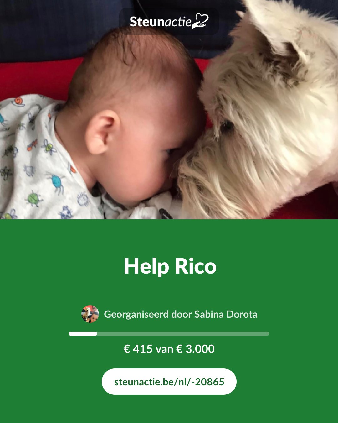 Voorbeeld van de afbeelding